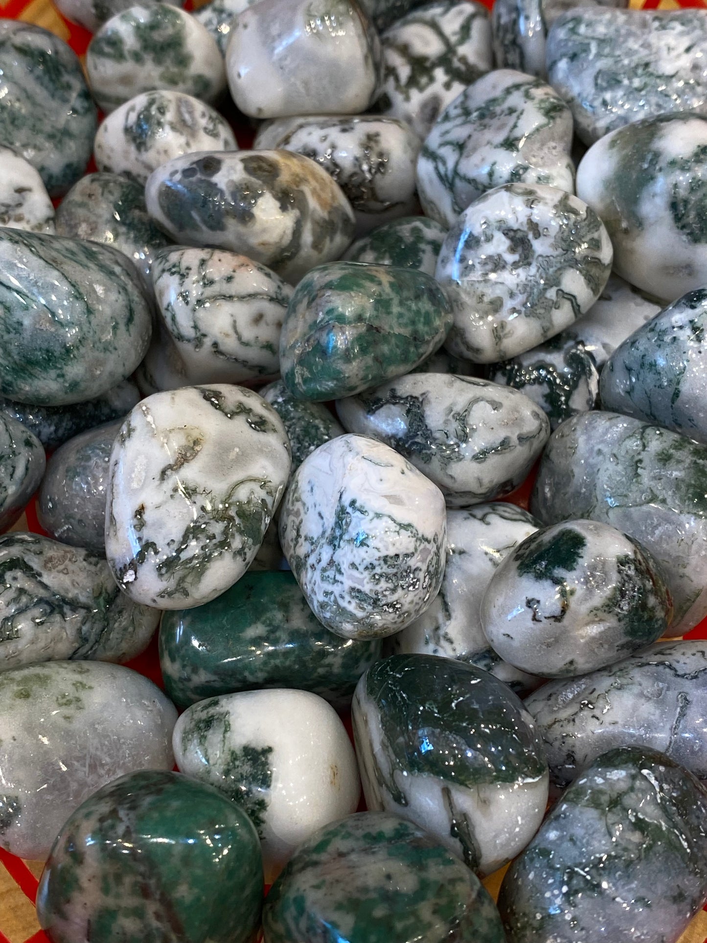 Tree Agate Tumbled Medium Stone 1pc