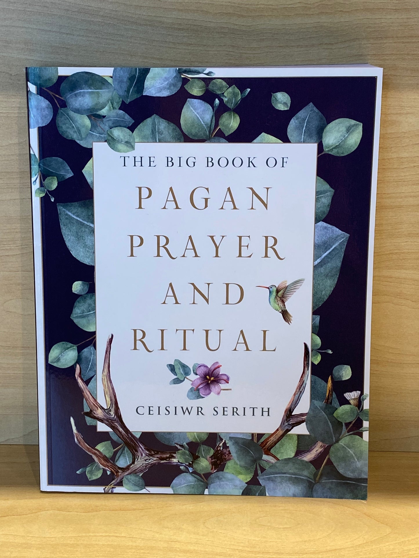 The Big Book of Pagan Prayer and Ritual By Ceisiwr Serith