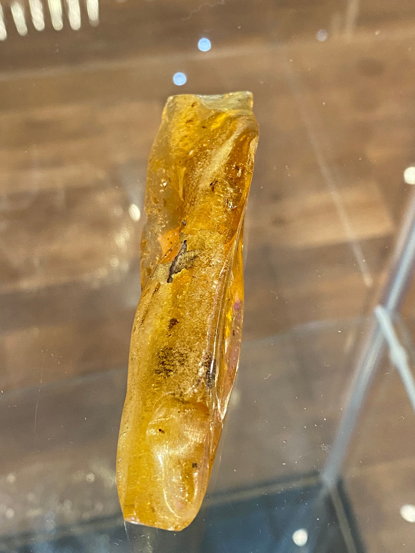 Amber Fossil Polished Specimen 1pc