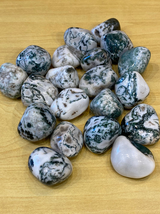 Tree Agate Large Tumbled Stone 1pc