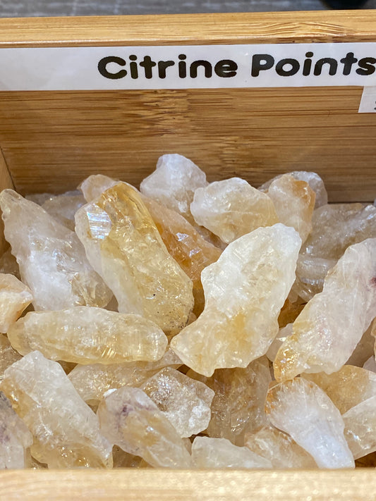 Citrine Point Raw Crystal | Healing Lotus
