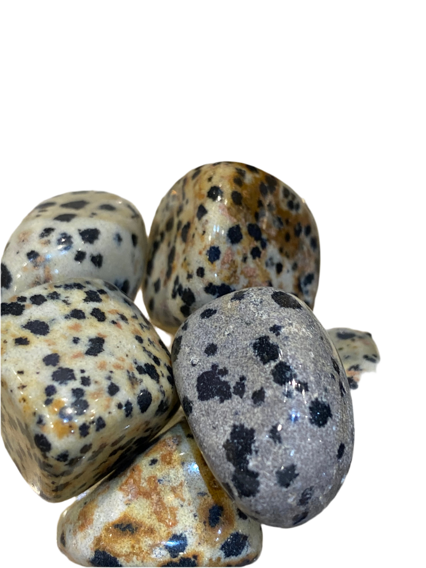 Dalmatian Jasper Stone 