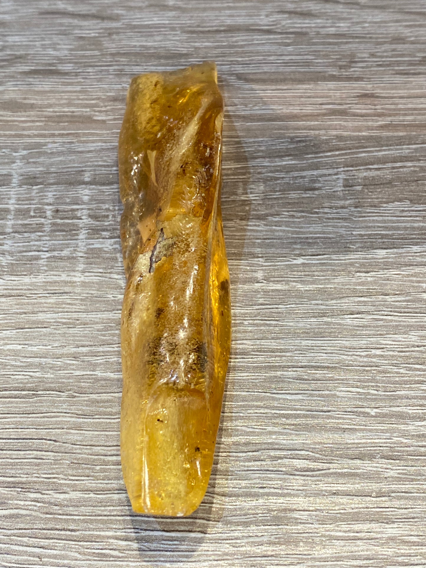 Amber Fossil Polished Specimen 1pc