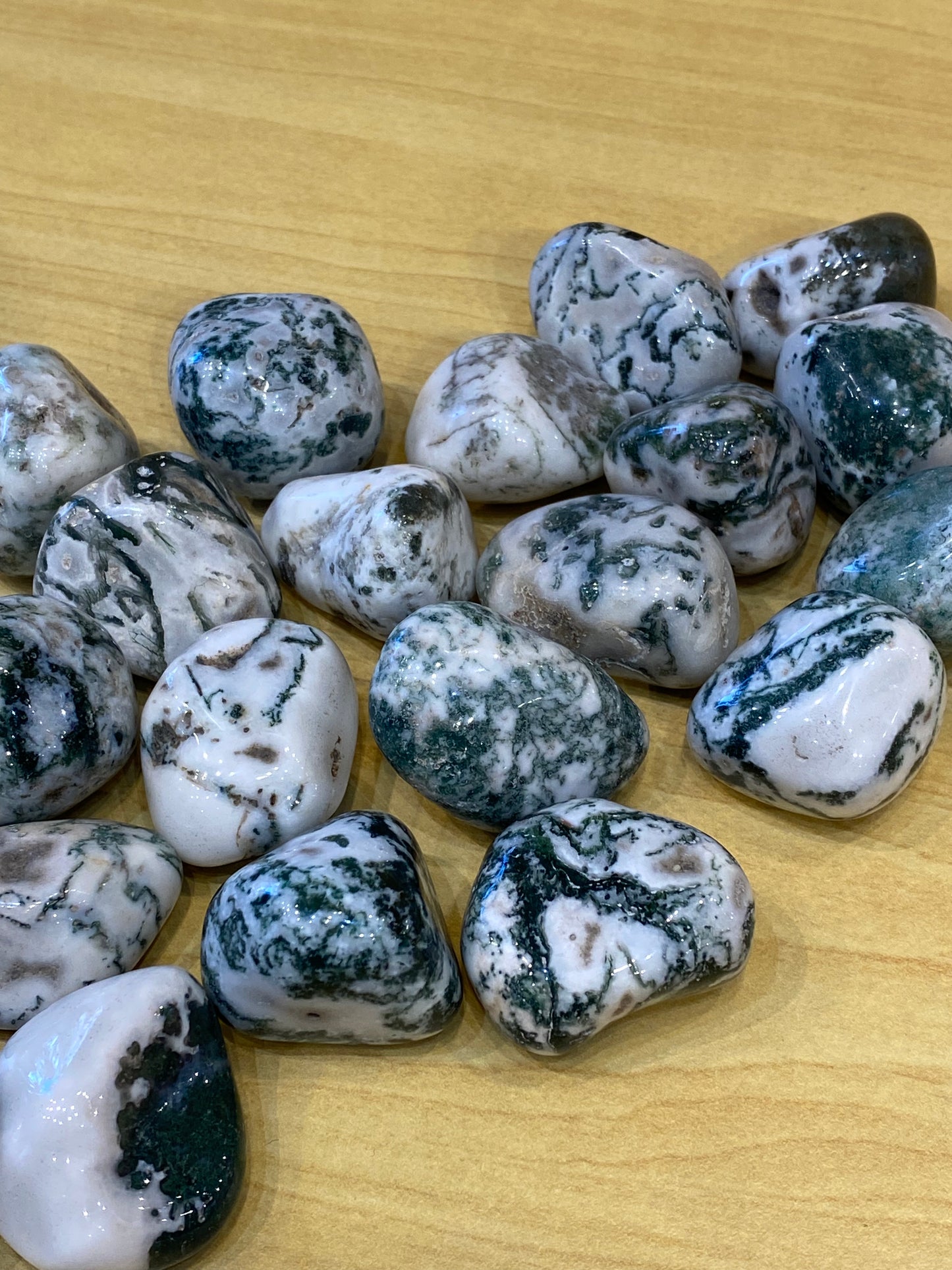 Tree Agate Large Tumbled Stone 1pc