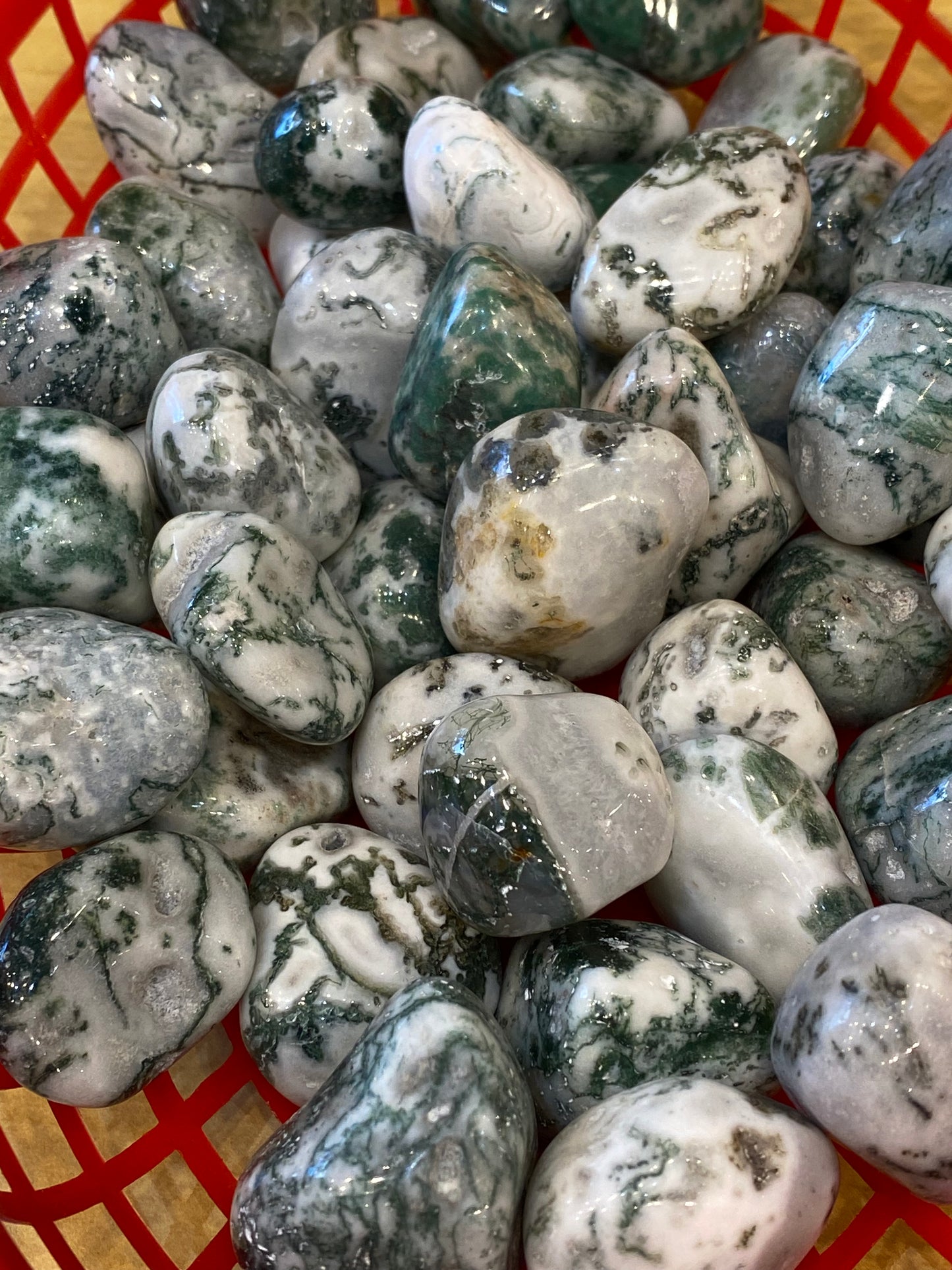 Tree Agate Tumbled Medium Stone 1pc