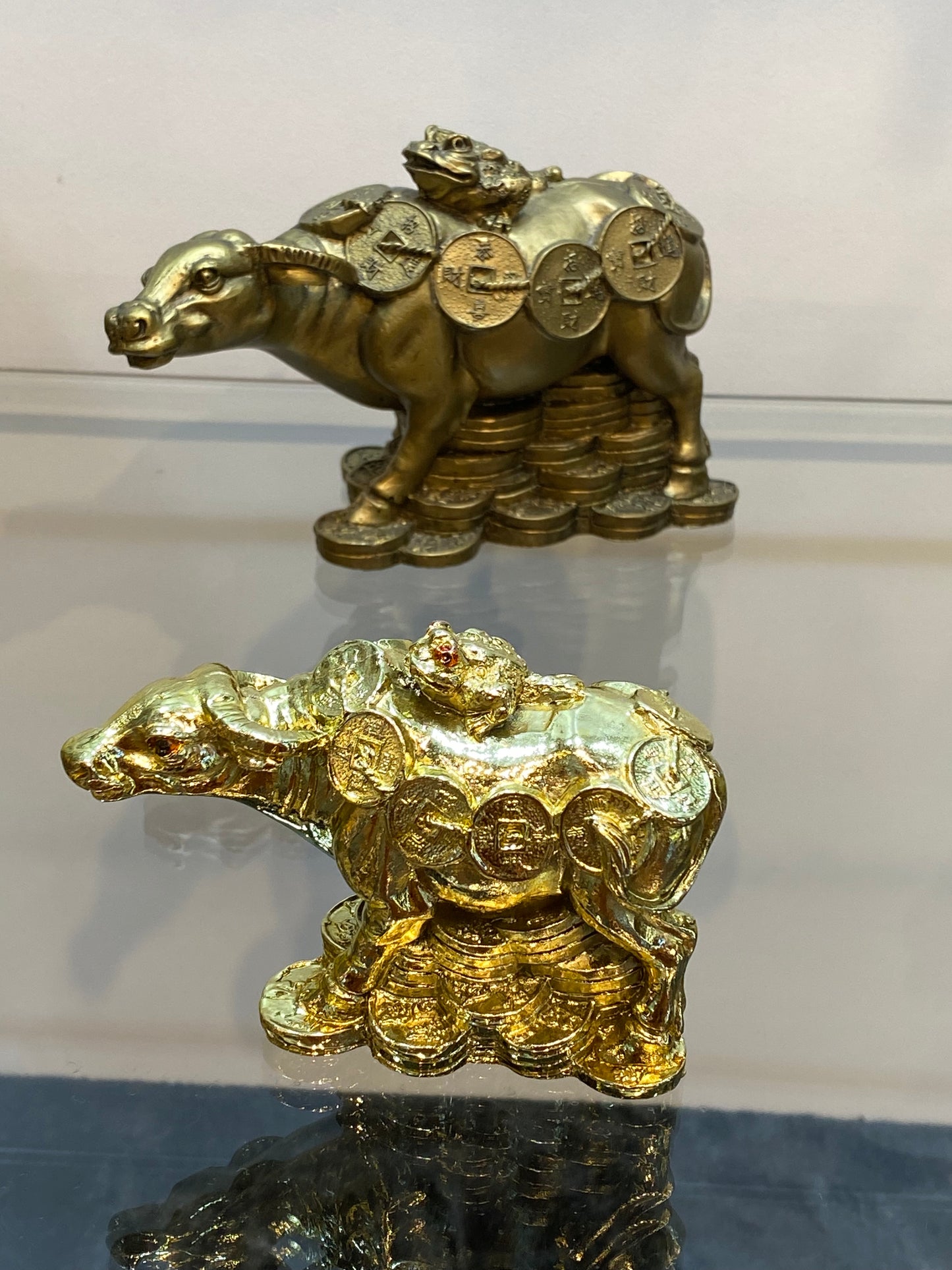 Feng Shui Golden Shiny Color Money Ox with Money Frog sitting on Top