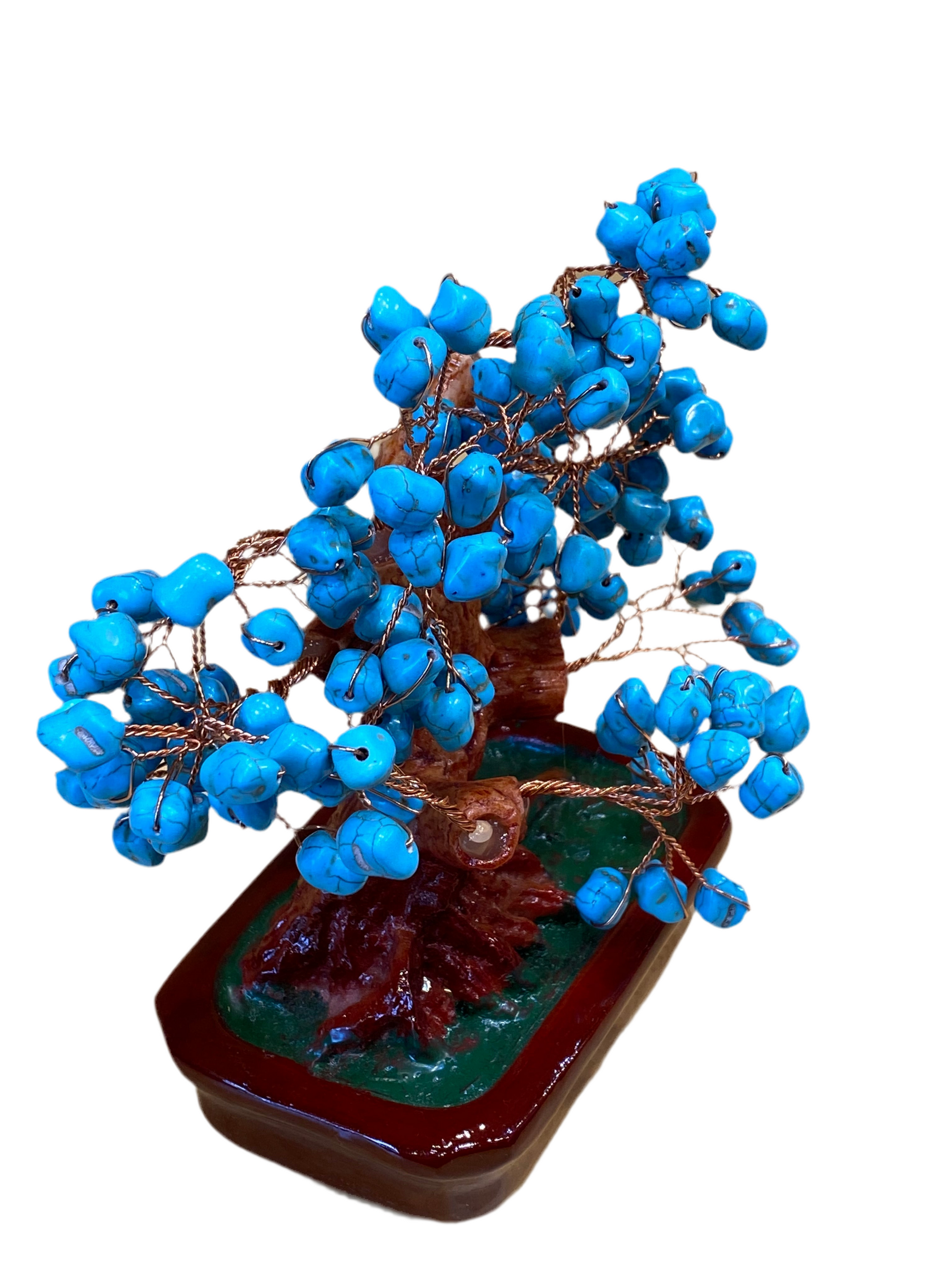 Bonsai Turquoise Tree