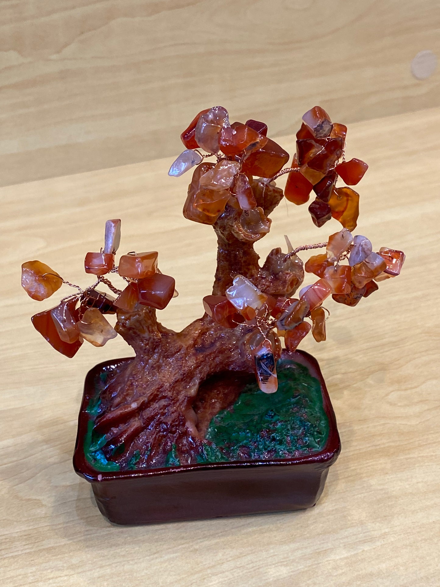 Desktop Bonsai Tree Carnelian in a Red Tub