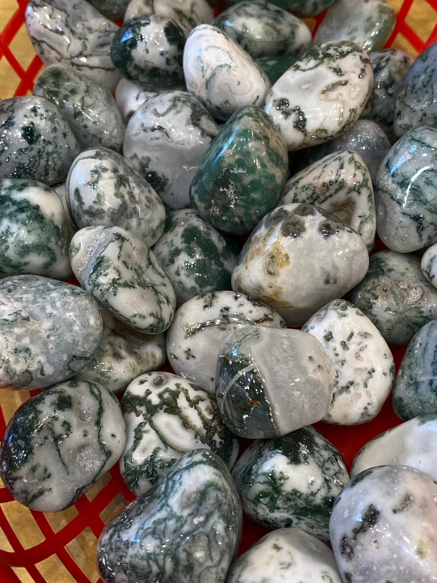 Tree Agate Tumbled Medium Stone 1pc