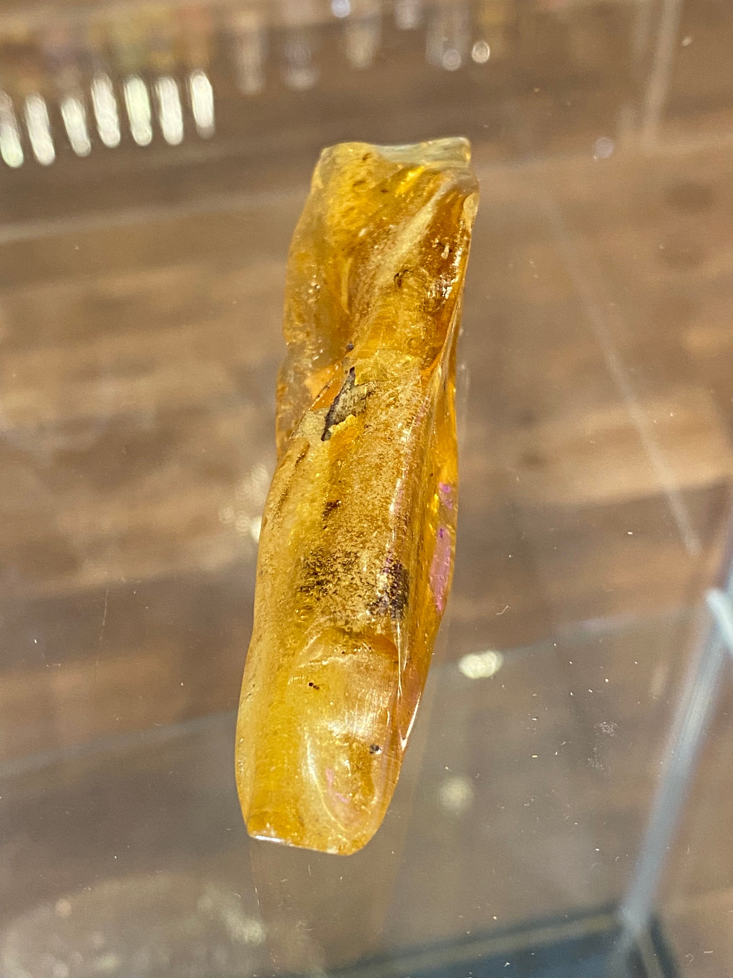 Amber Fossil Polished Specimen 1pc