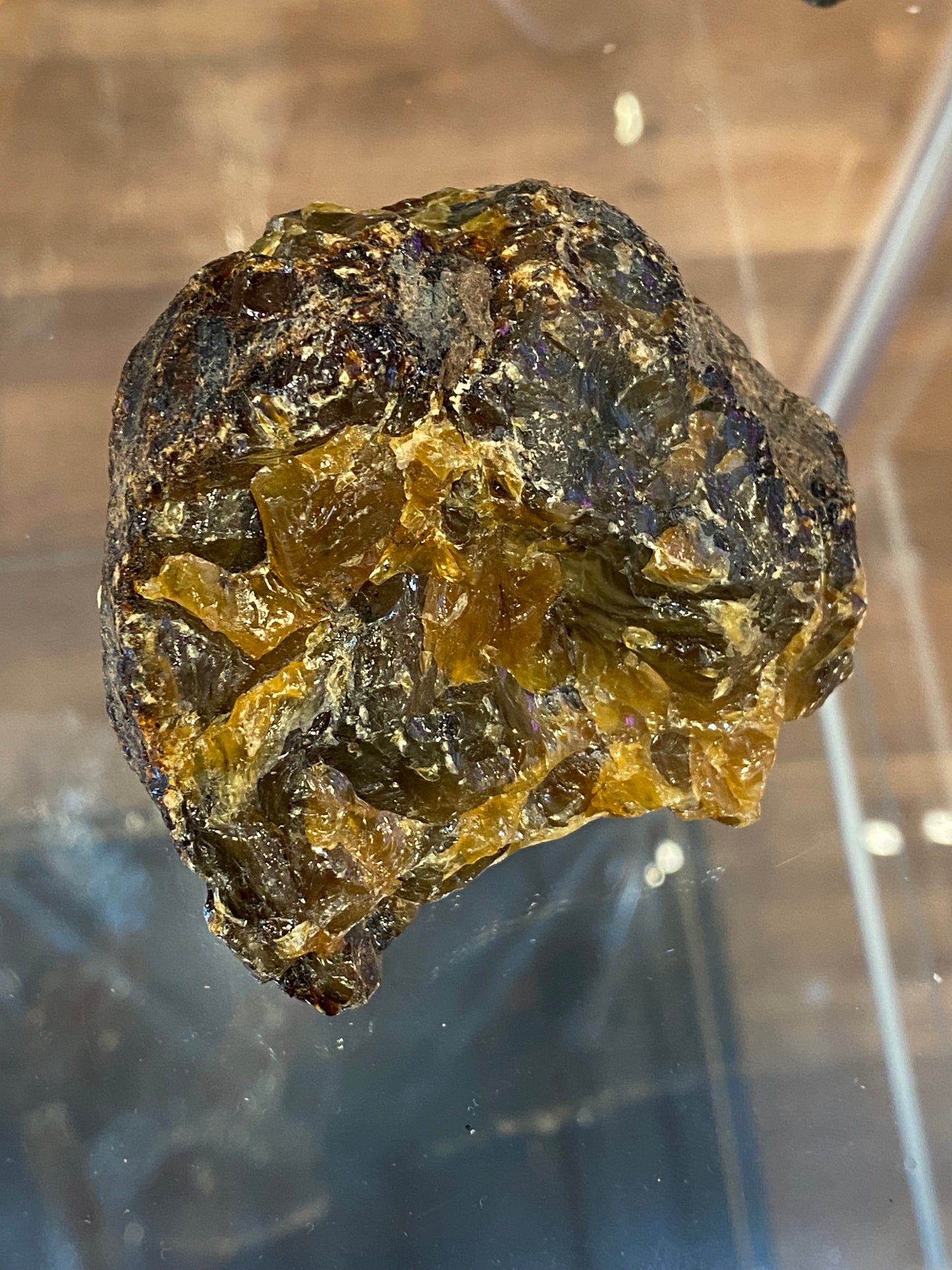 Amber Fossil Large Specimen 3”