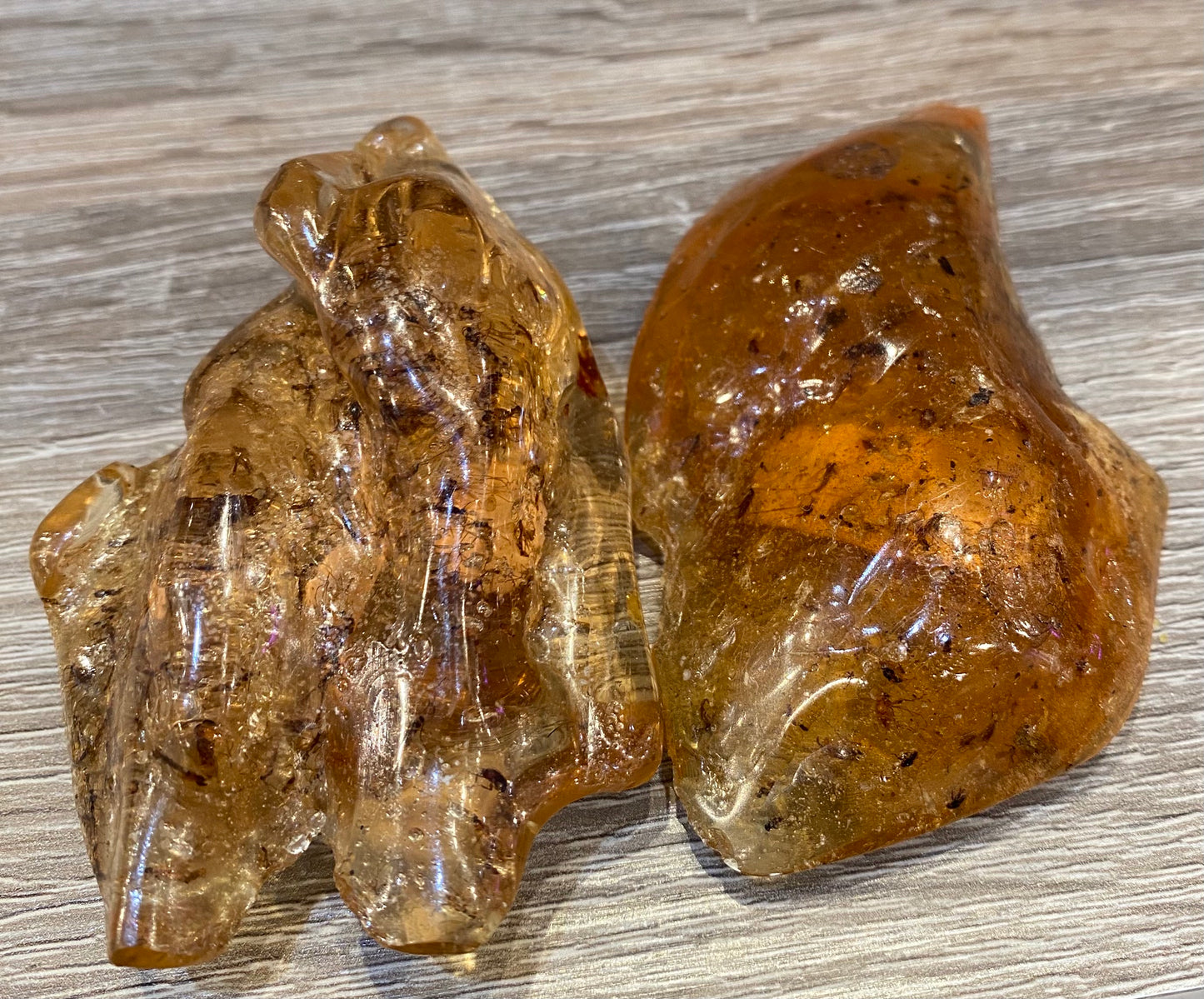 Amber Fossil Polished Specimen Stone 1pc