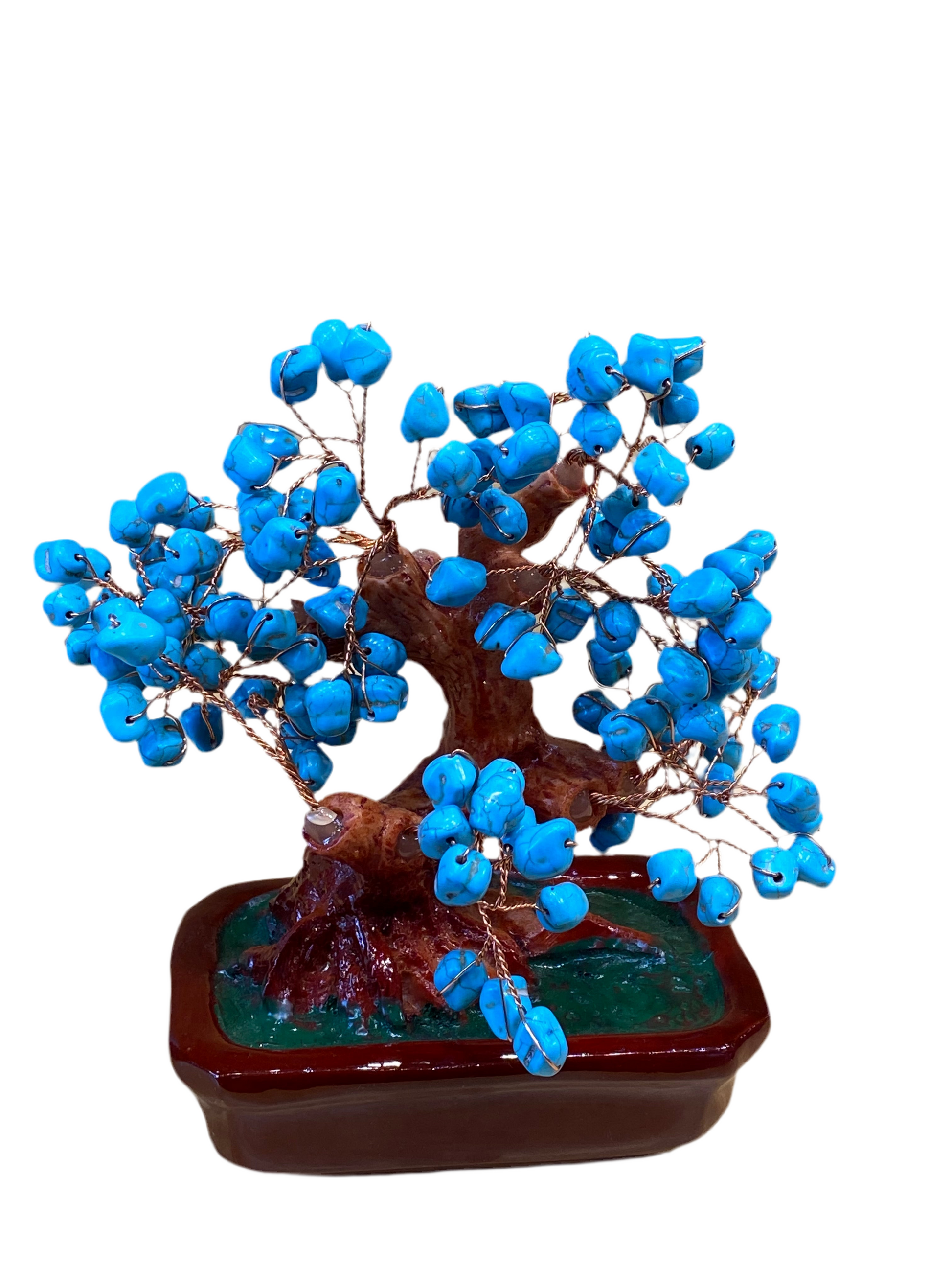 Bonsai Turquoise Tree