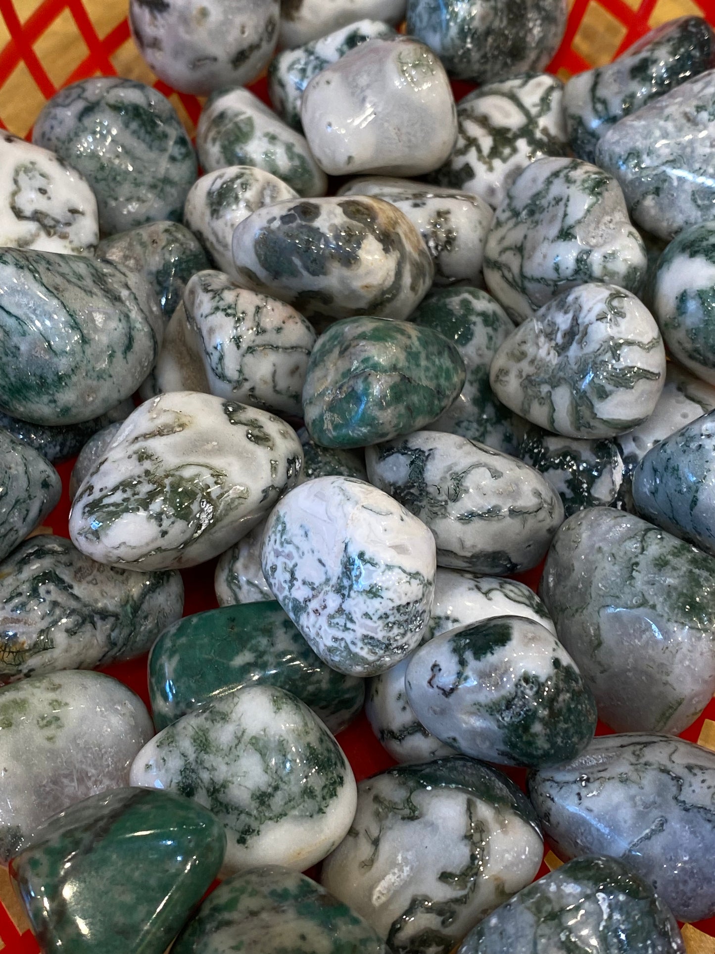 Tree Agate Tumbled Medium Stone 1pc