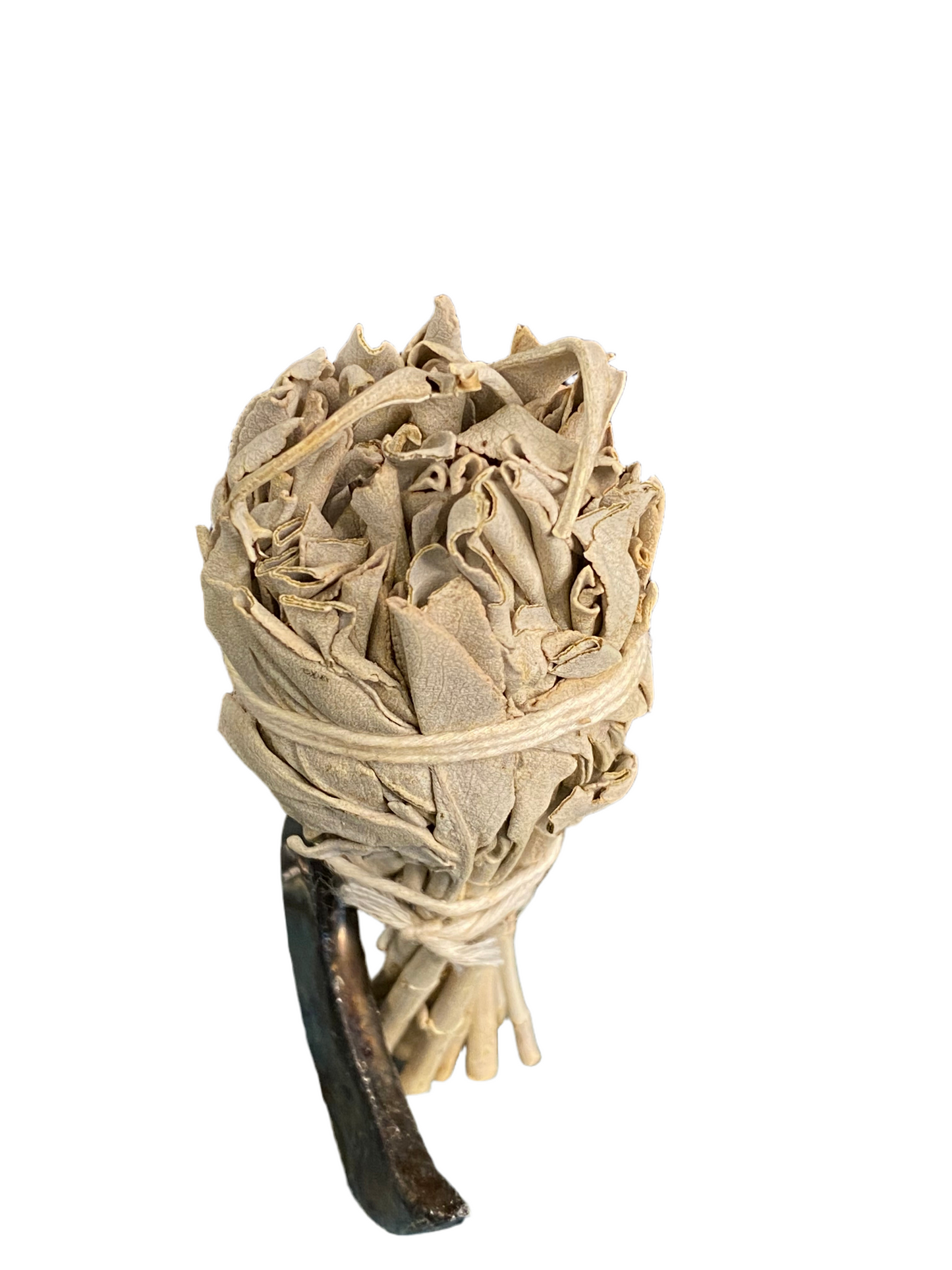 White Sage Mini Torch Smudge