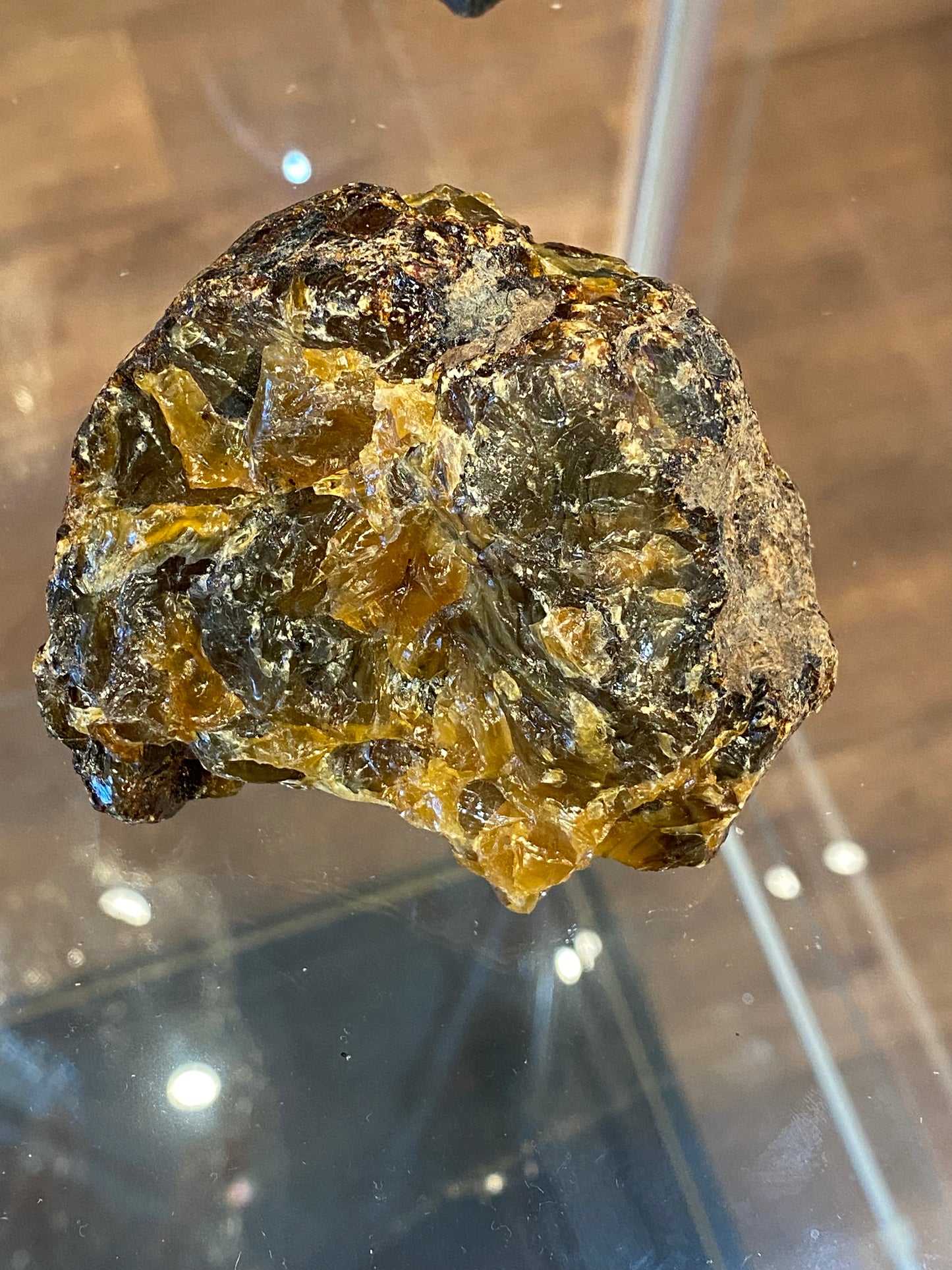 Amber Fossil Large Specimen 3”