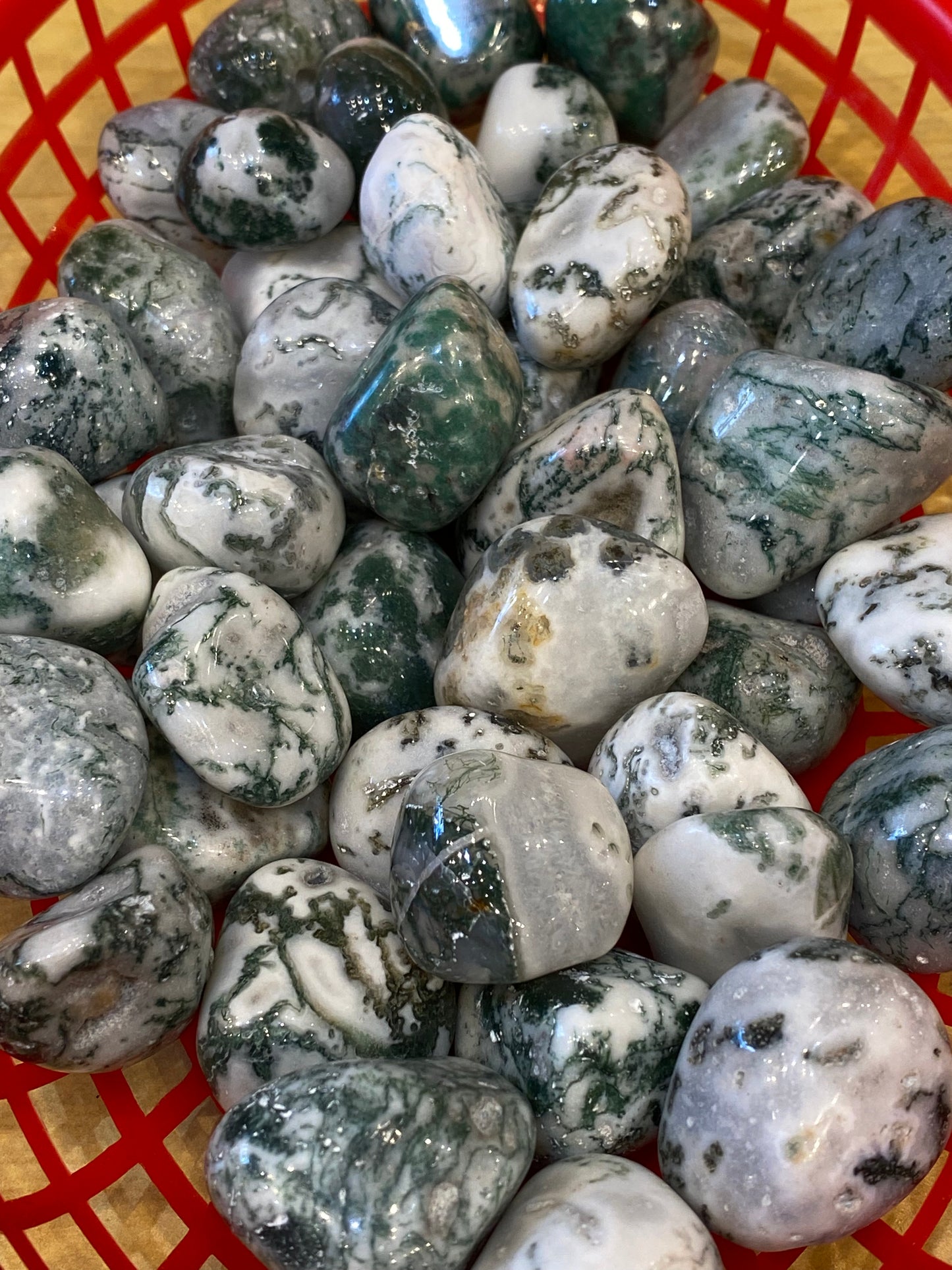 Tree Agate Tumbled Medium Stone 1pc