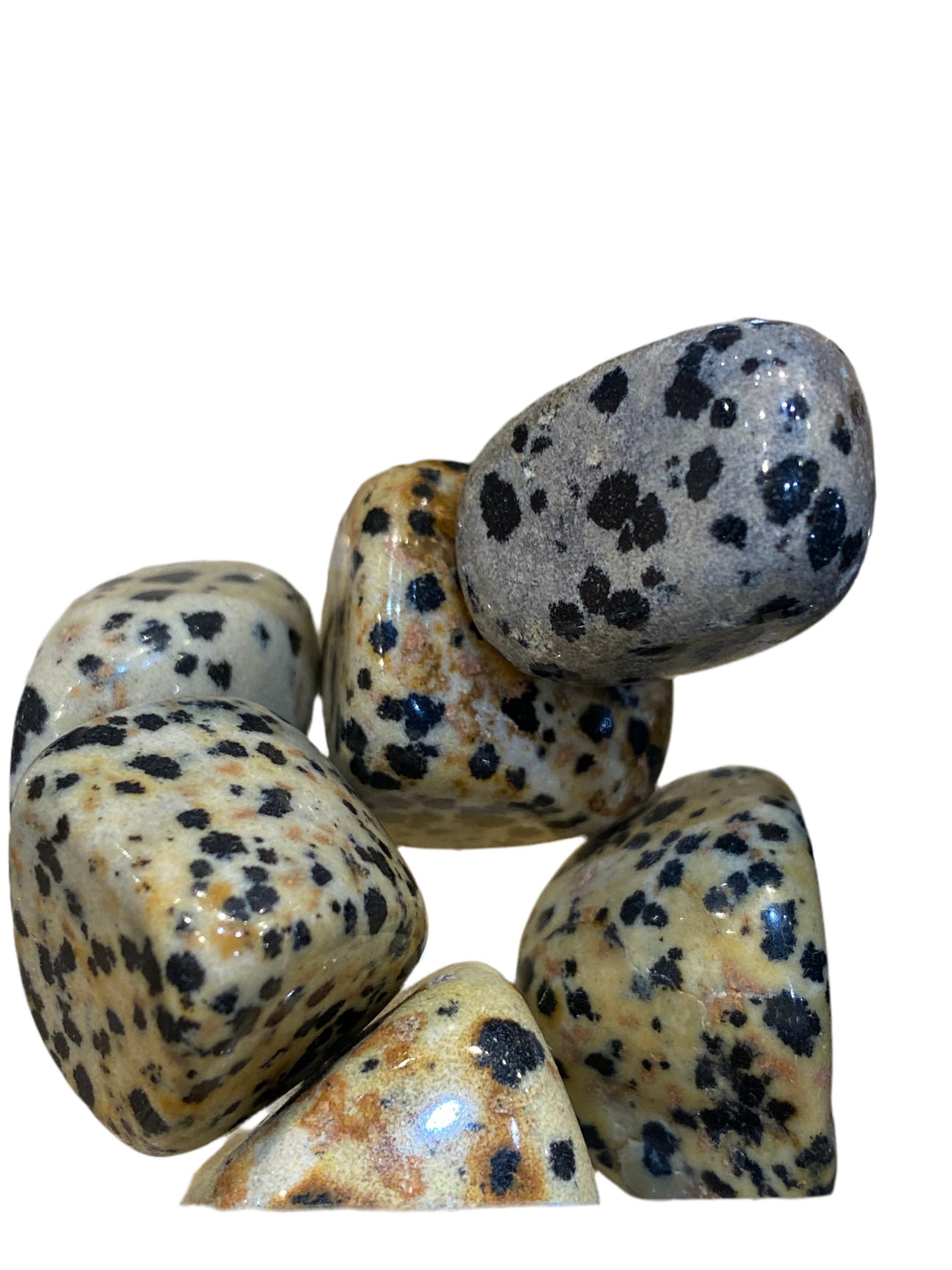 Dalmatian Jasper Stone 