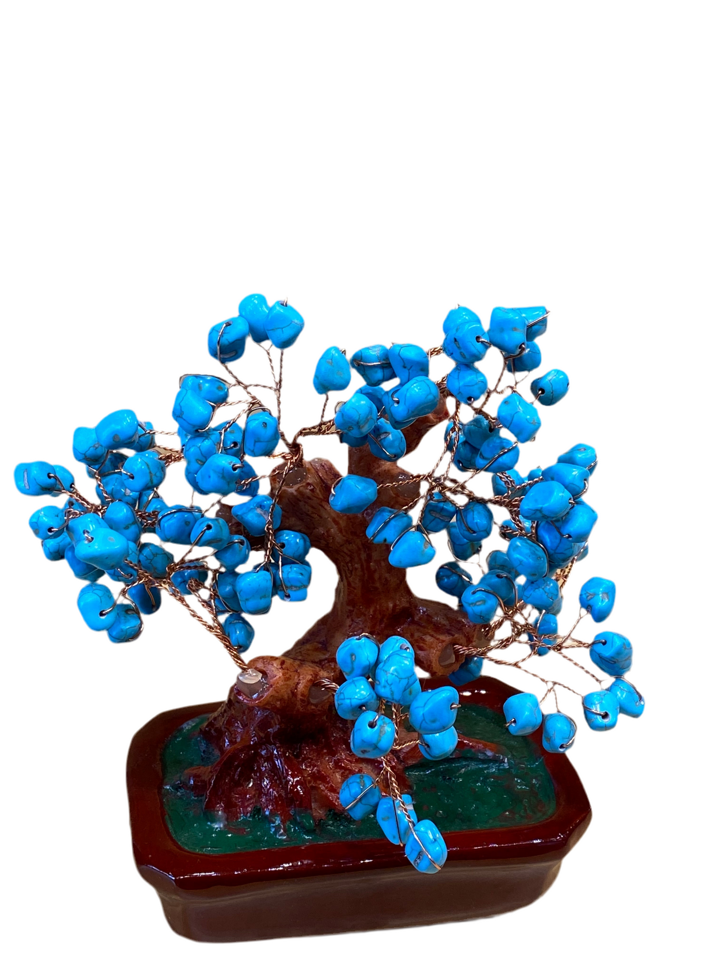 Bonsai Turquoise Tree