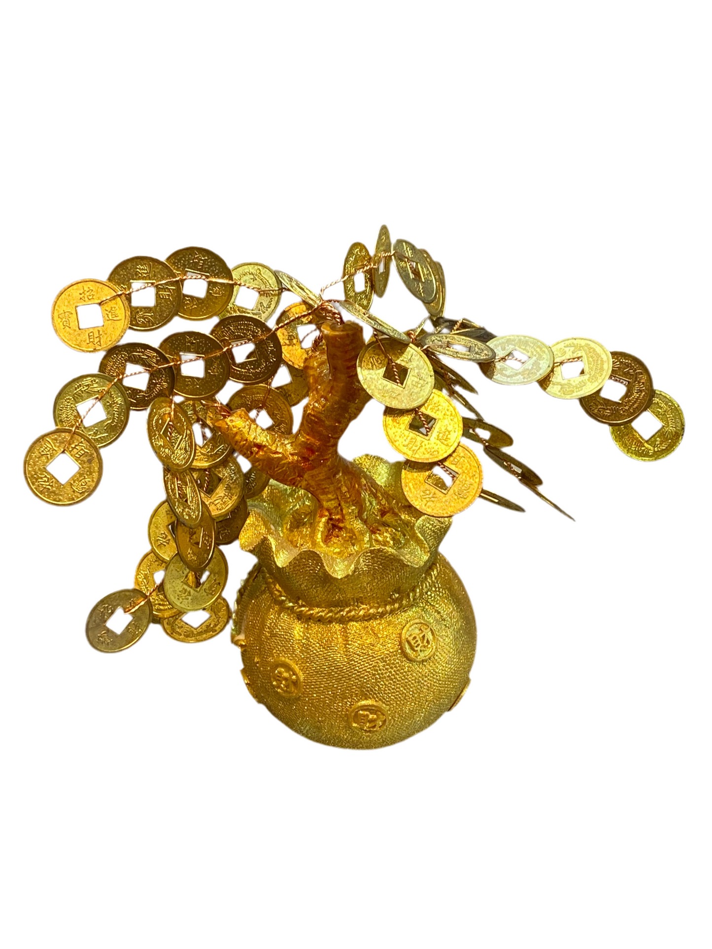 Bonsai Money Tree in Gold Money Bag