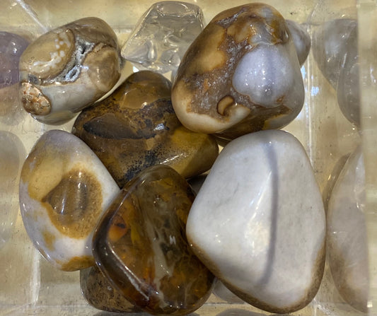 Spotted Agate Tumbled Stone 1pc