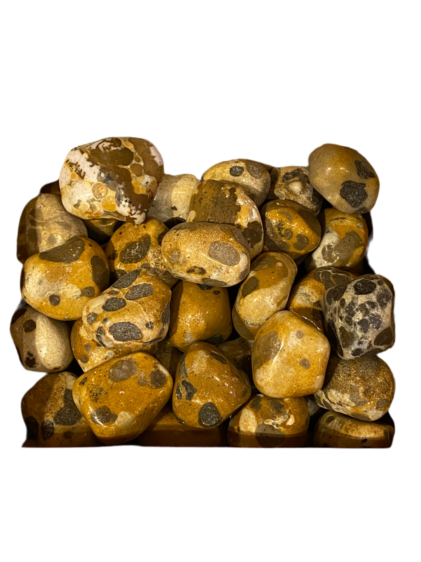 Leopard Skin Jasper 