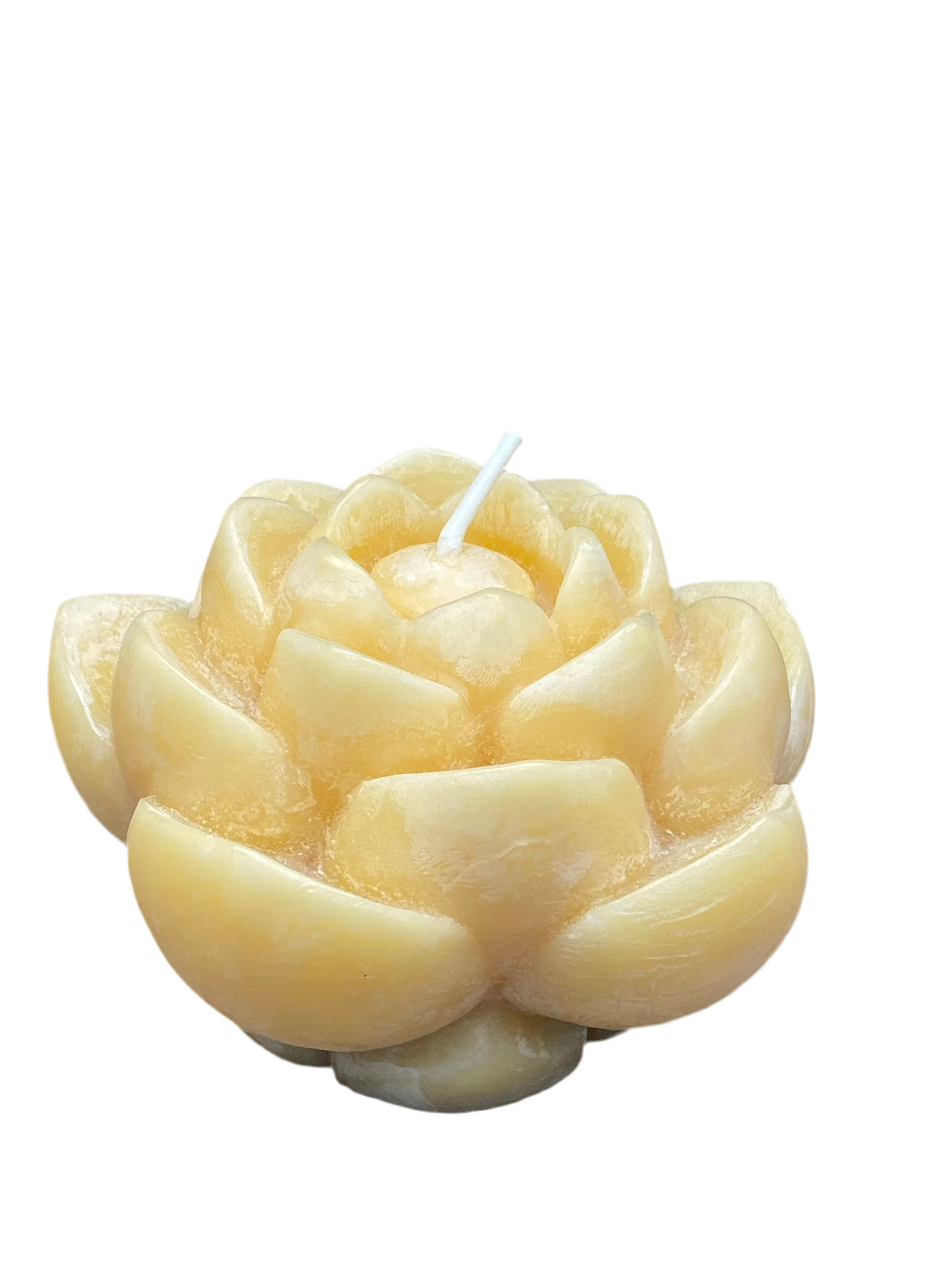 Beeswax Lotus Flower