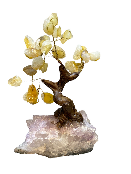 Bonsai Gemstone Crystal Citrine Tree on Amethyst Cluster