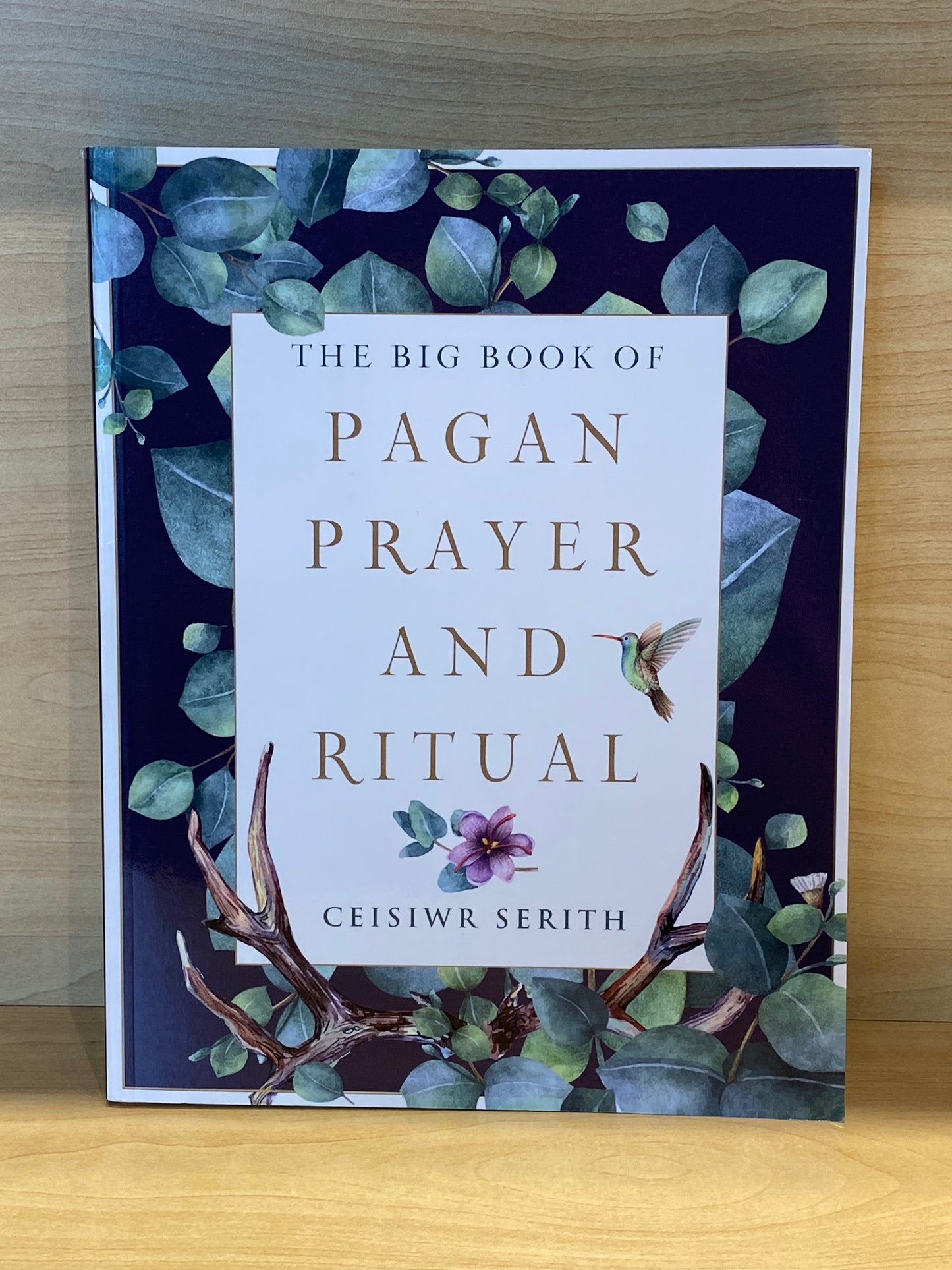 The Big Book of Pagan Prayer and Ritual By Ceisiwr Serith