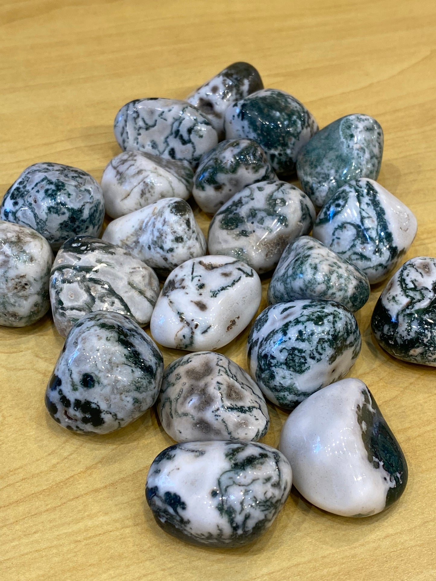 Tree Agate Large Tumbled Stone 1pc