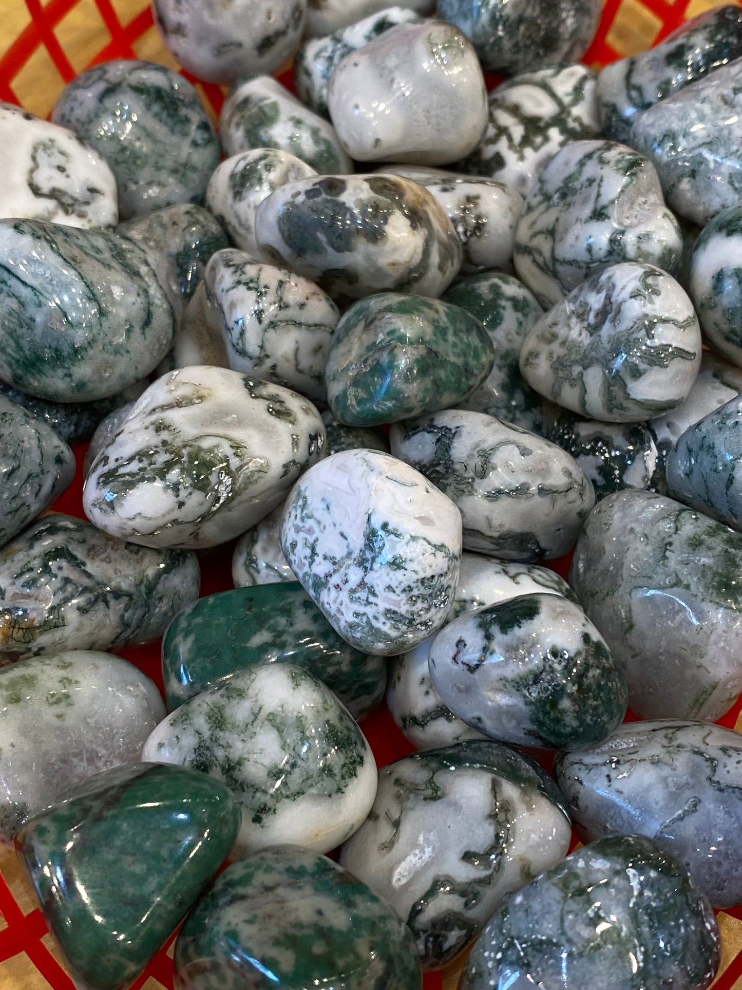 Tree Agate Tumbled Medium Stone 1pc