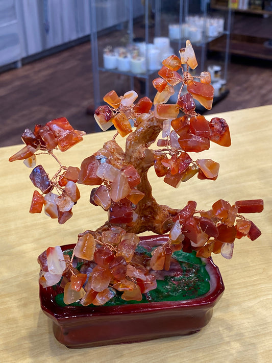 Feng Shui Bonsai Tree Desktop  Tumbled Carnelian in a Red Tub