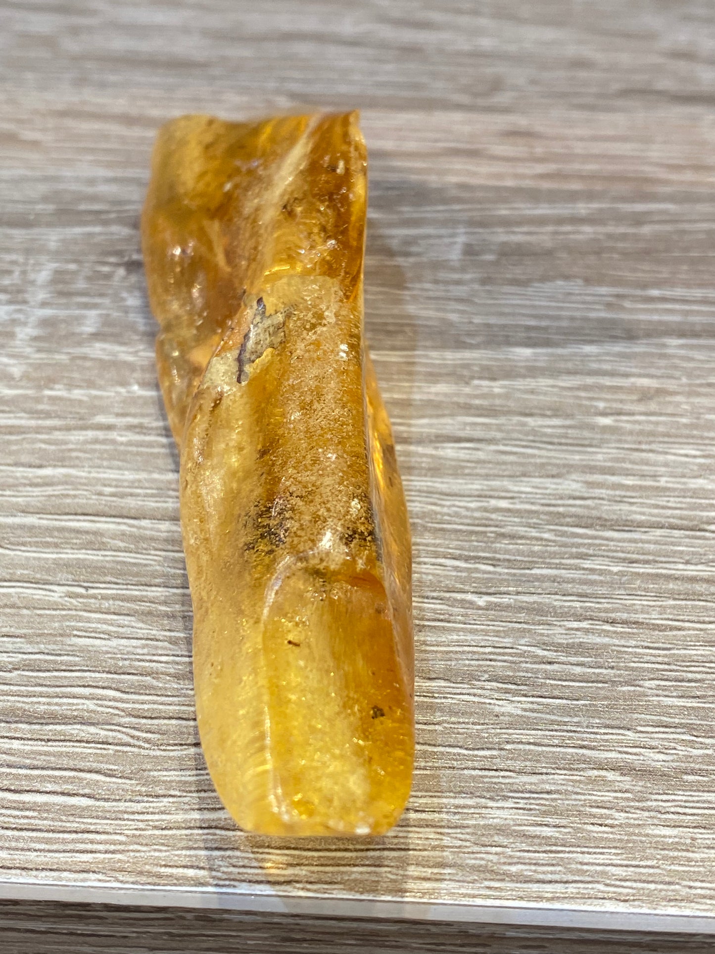 Amber Fossil Polished Specimen 1pc