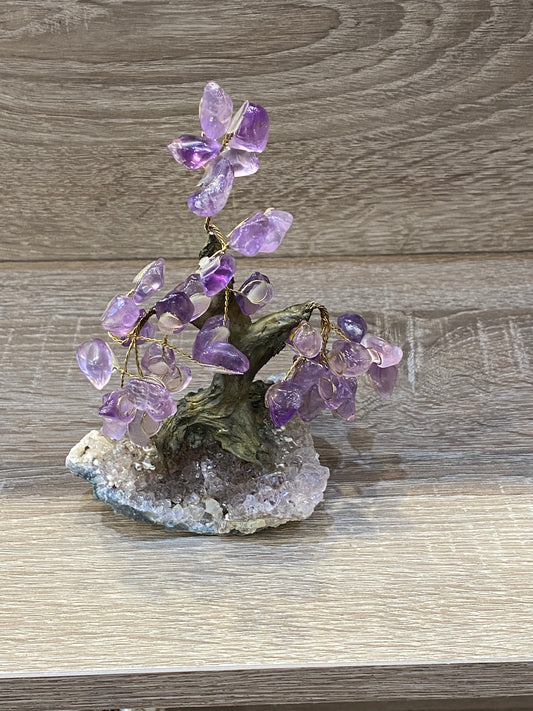 Gemstone Amethyst Bonsai Tree on Amethyst Cluster