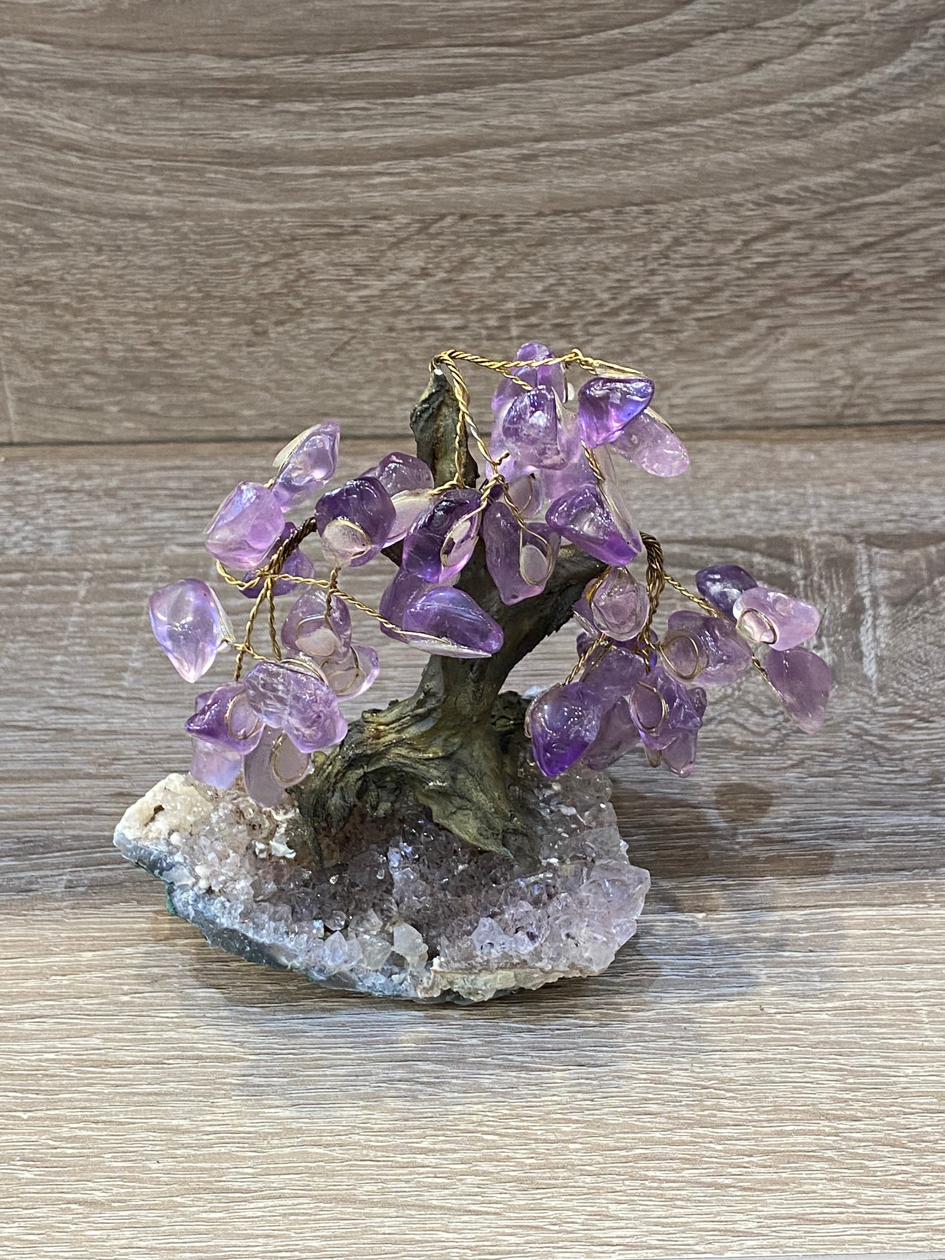 Gemstone Amethyst Bonsai Tree on Amethyst Cluster