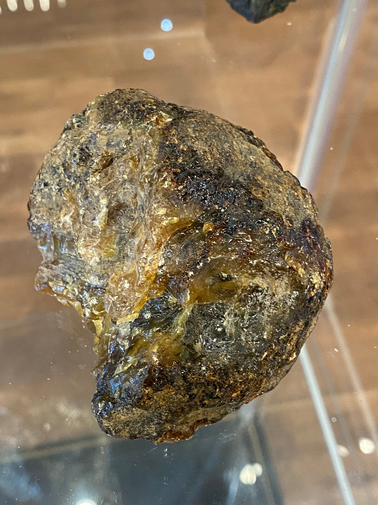 Amber Fossil Large Specimen 3”