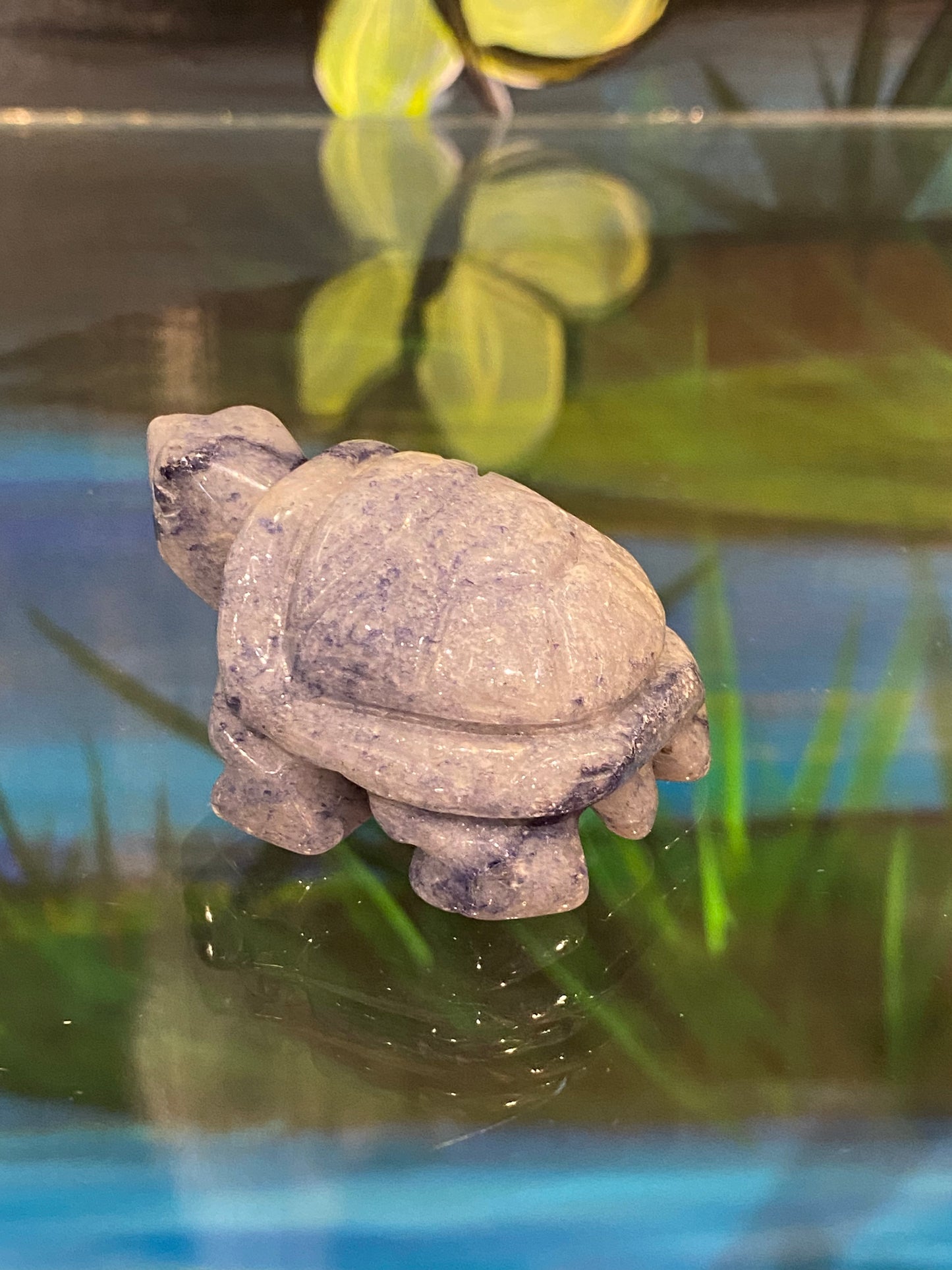 Spirit Animal Sodalite Turtle Hand Carved Polished Stone