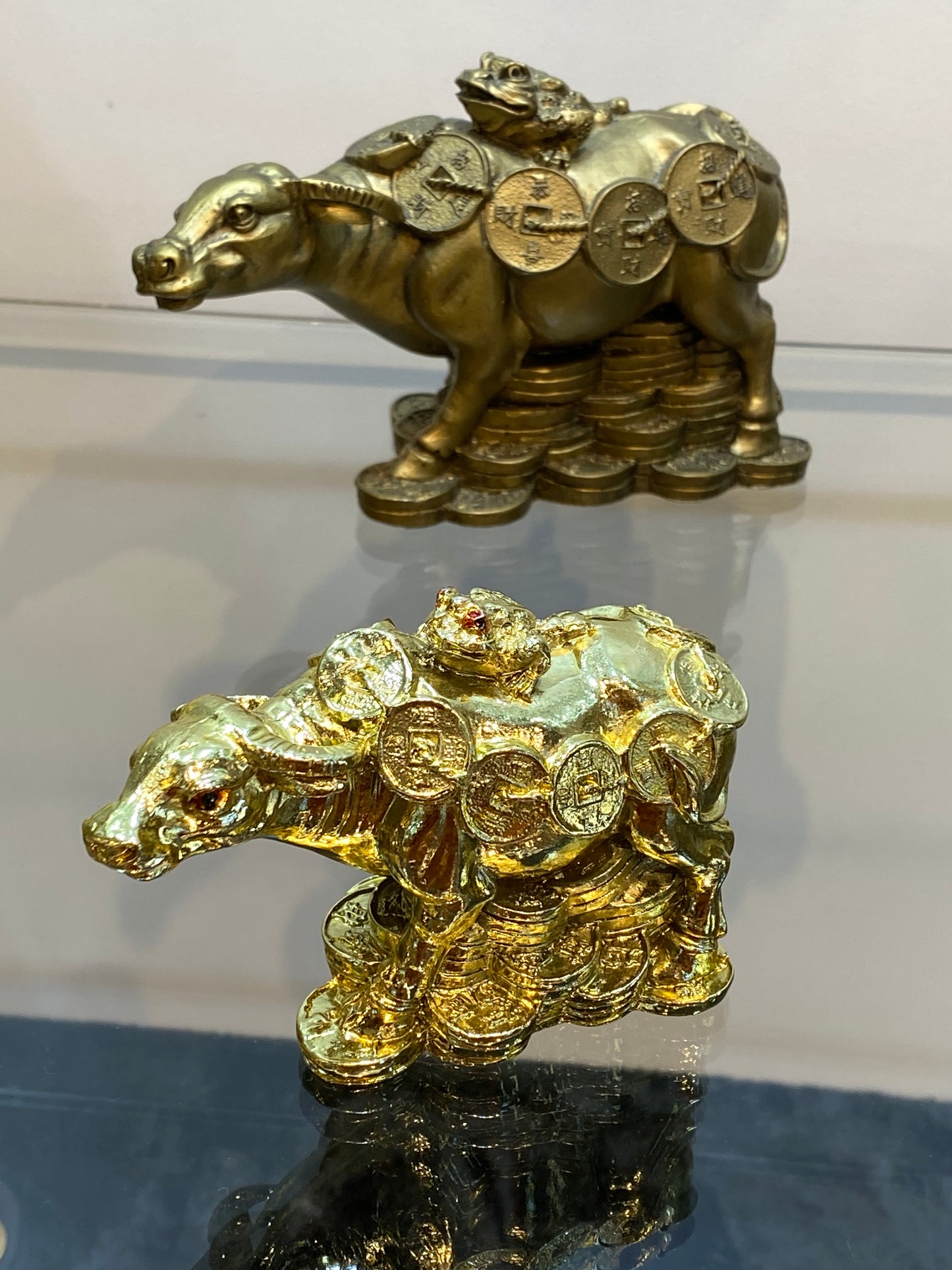 Feng Shui Golden Shiny Color Money Ox with Money Frog sitting on Top