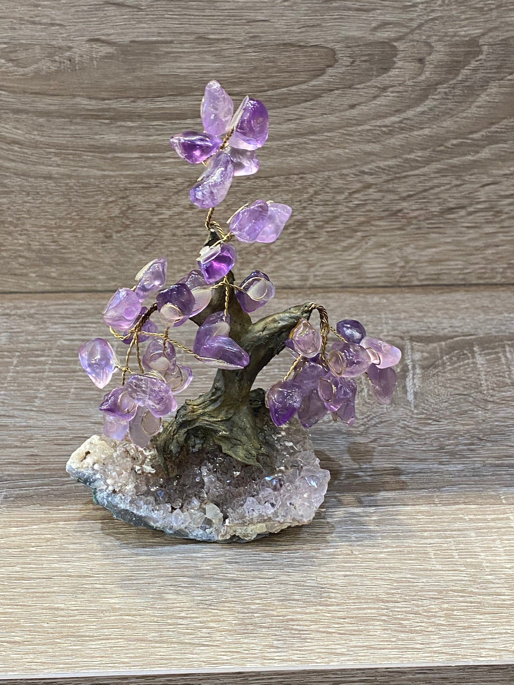 Gemstone Amethyst Bonsai Tree on Amethyst Cluster