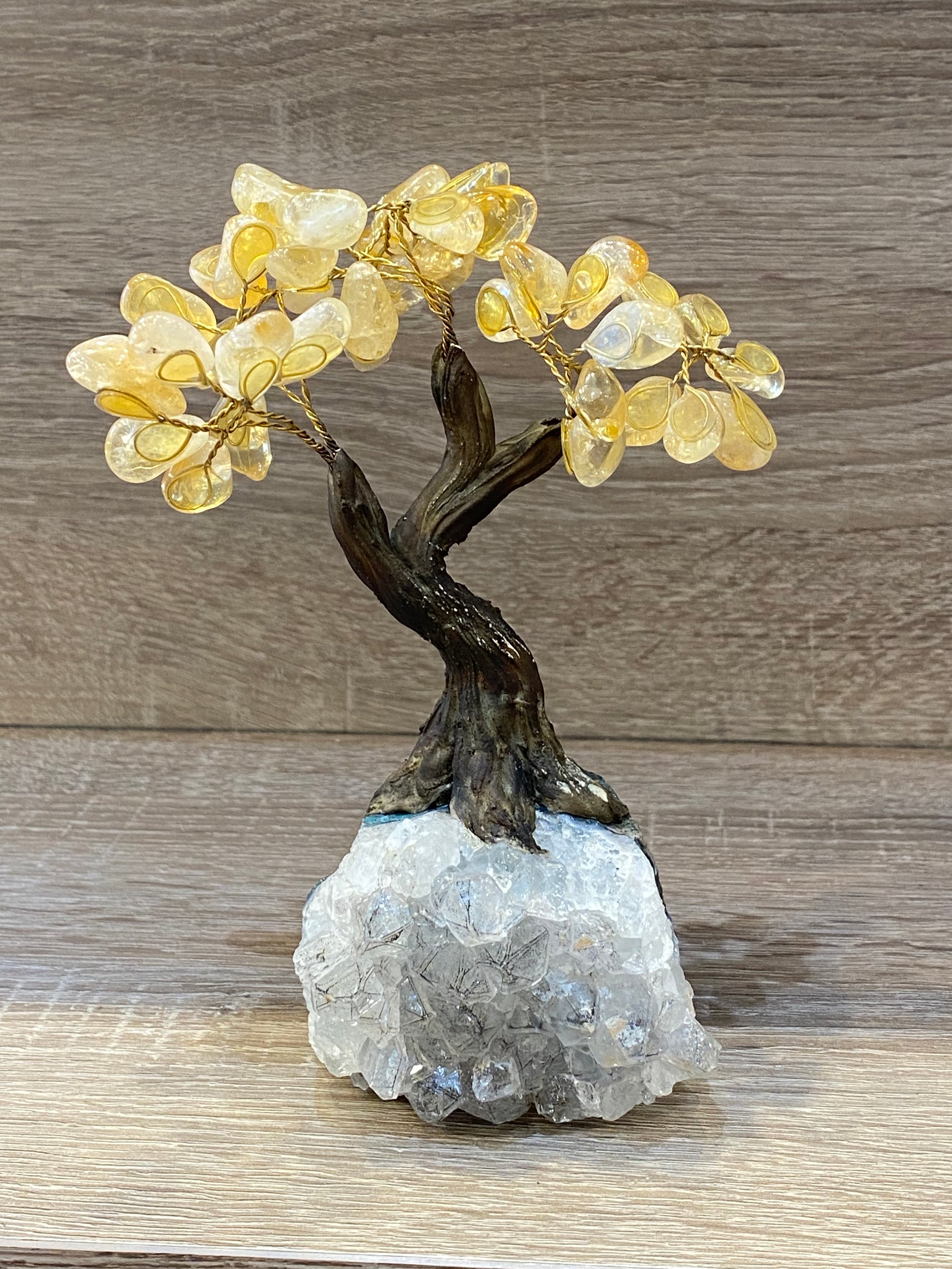 Bonsai Gemstone Citrine Tree on a Smoky Quartz Cluster