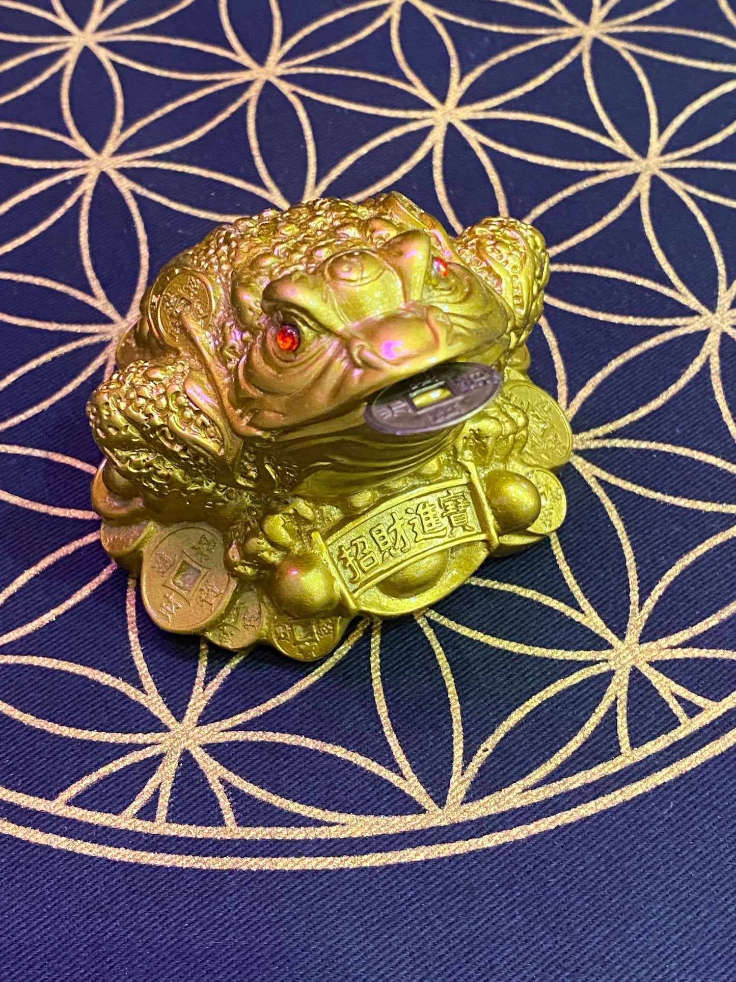 Feng Shui Money Frog with Coin