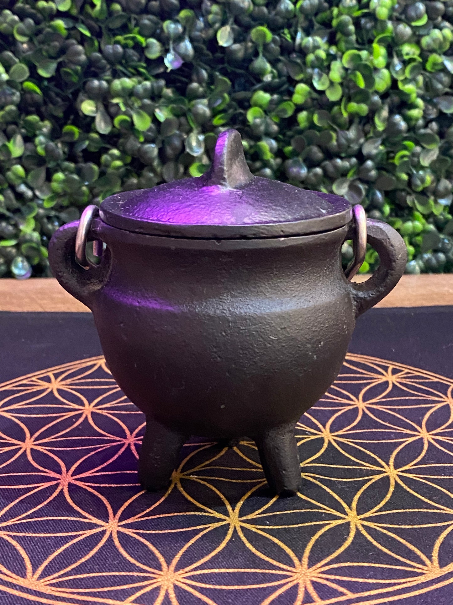 Plain Cast Iron Cauldron With Silver Handle