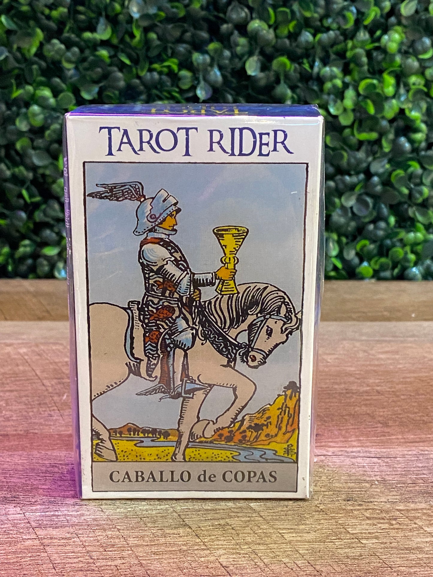 Tarot Rider Caballo de Copas Mazo de 78 Cartas con Instrucciones en Espanol