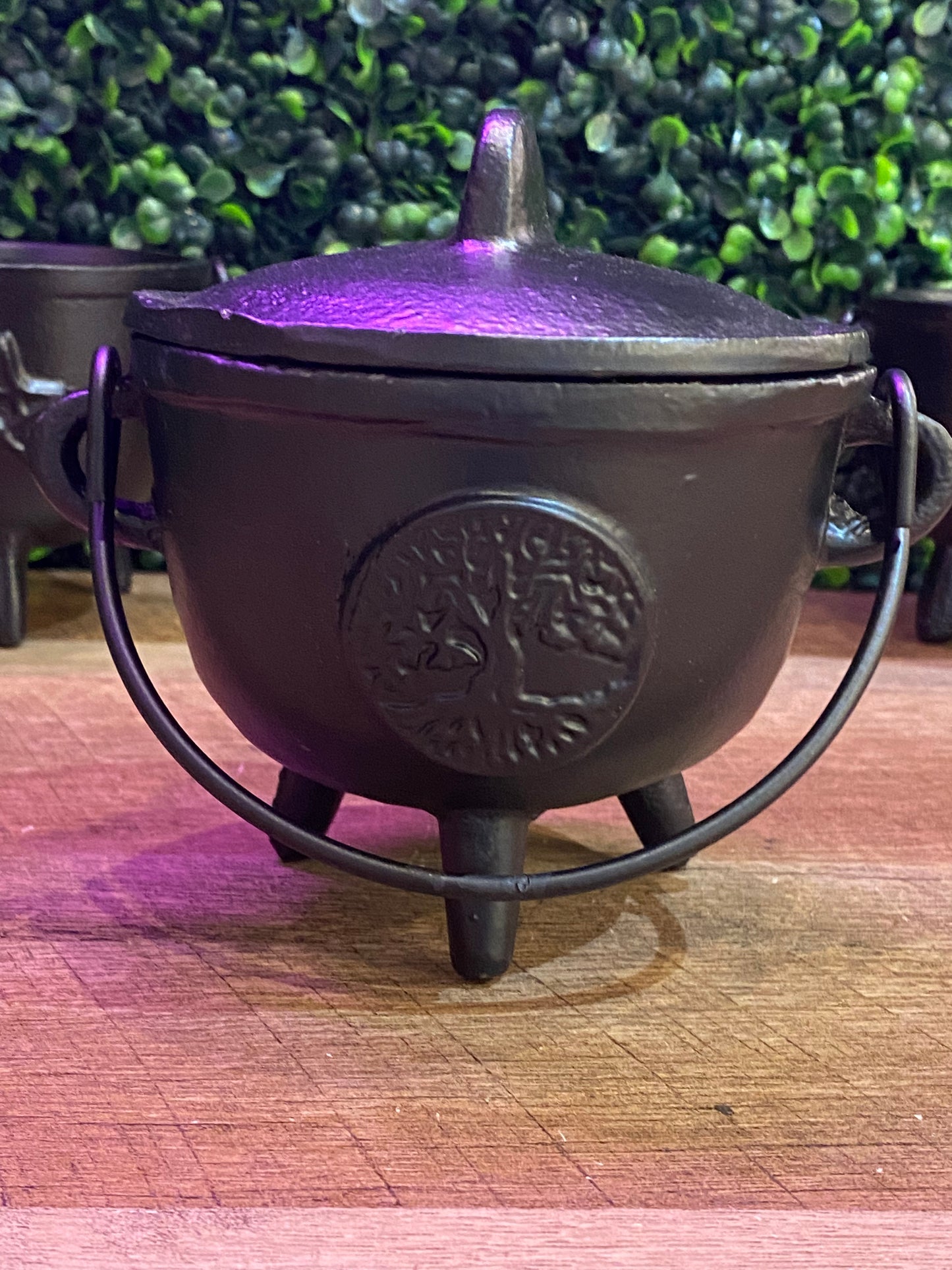 Tree Of Life Cast Iron Cauldron w/Lid