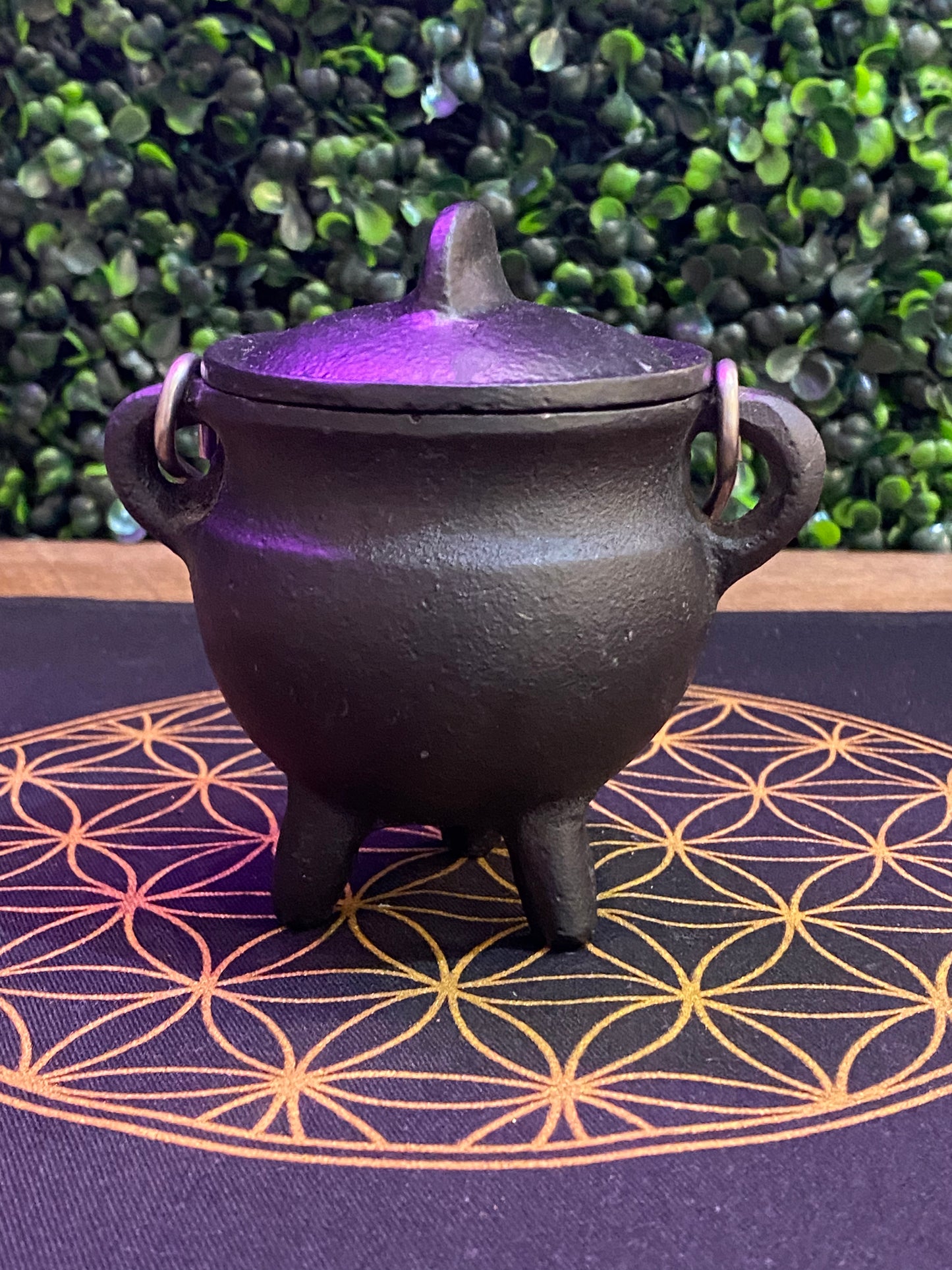 Plain Cast Iron Cauldron With Silver Handle