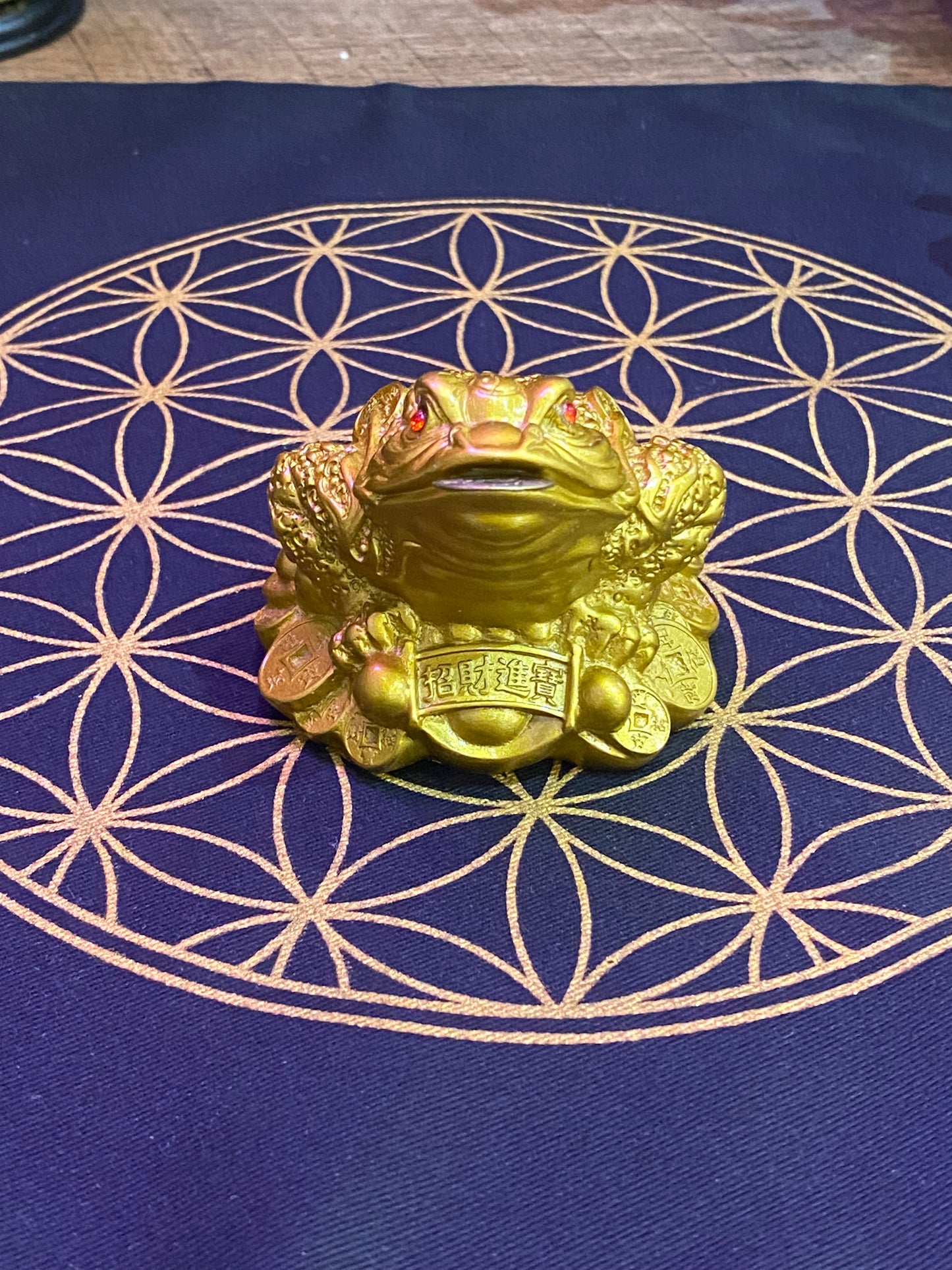 Feng Shui Money Frog with Coin