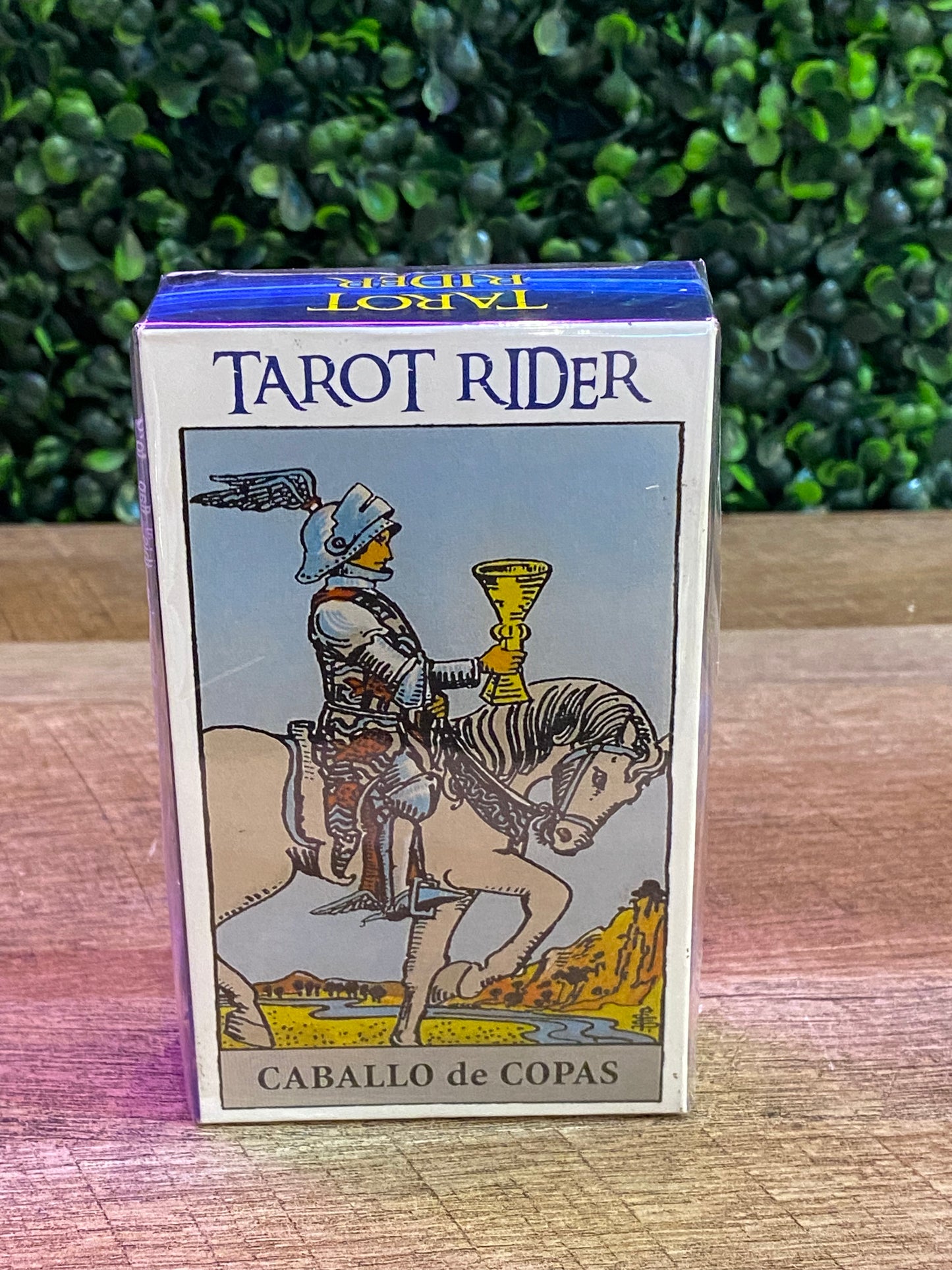 Tarot Rider Caballo de Copas Mazo de 78 Cartas con Instrucciones en Espanol