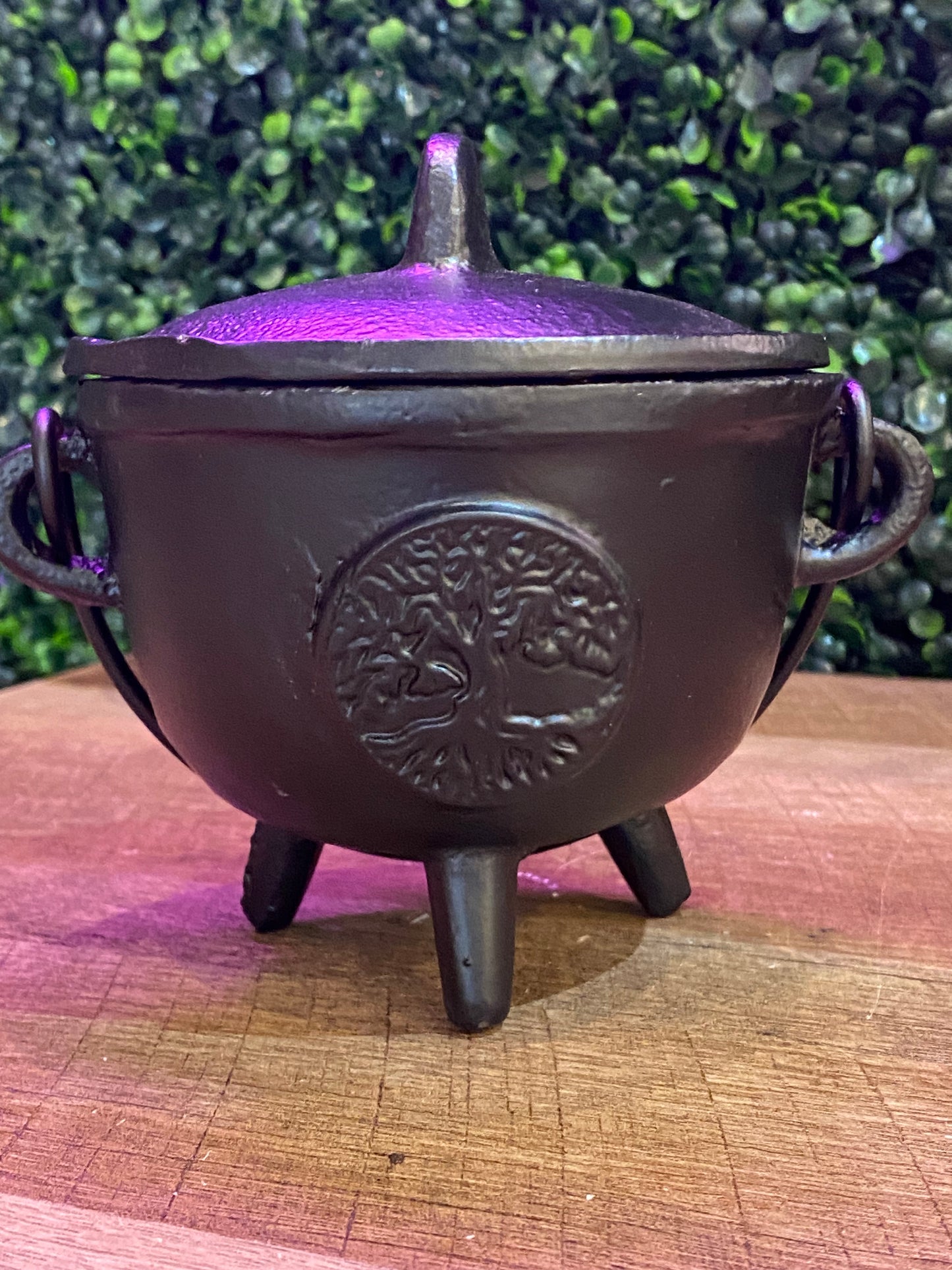 Tree Of Life Cast Iron Cauldron w/Lid