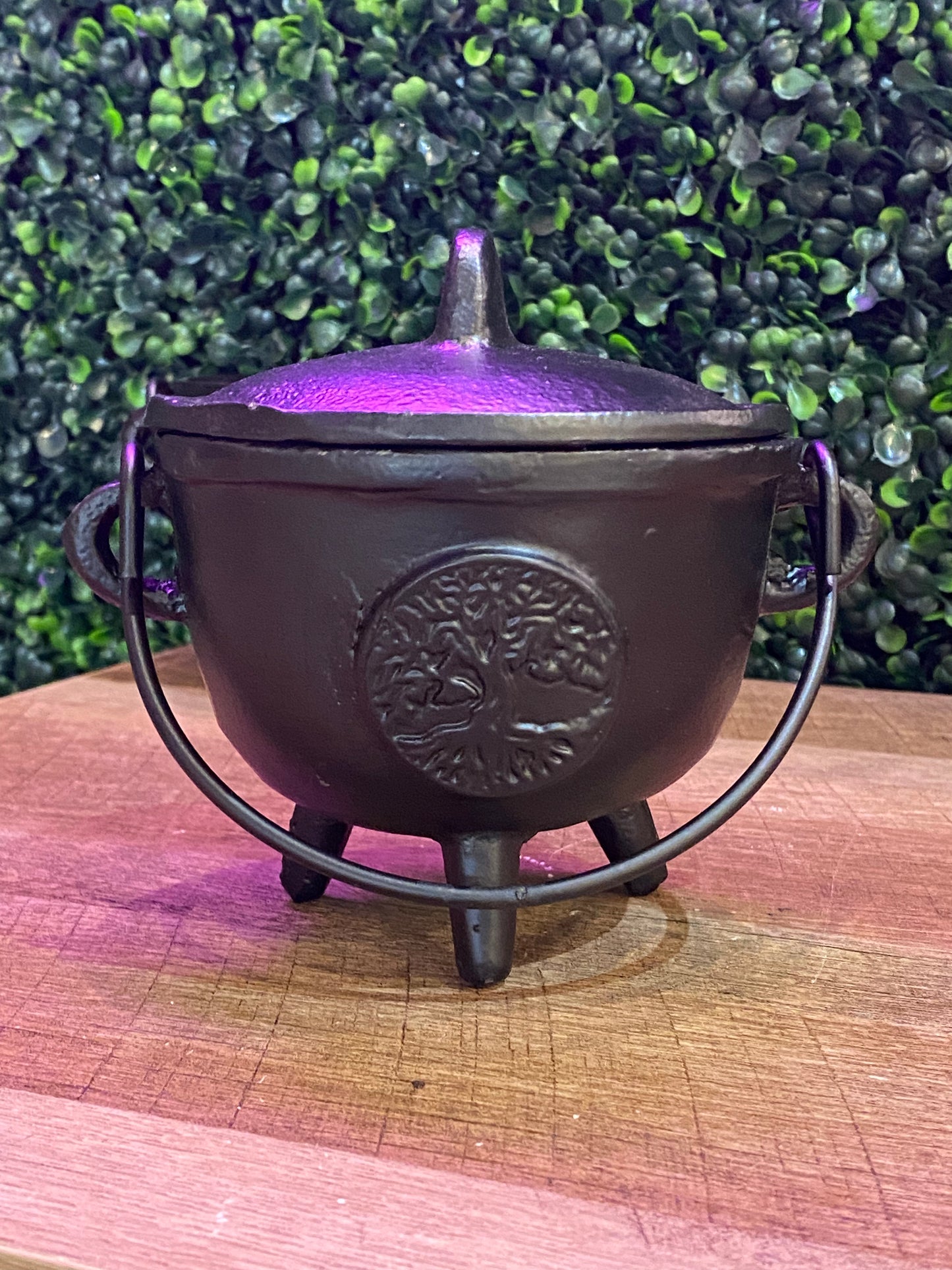 Tree Of Life Cast Iron Cauldron w/Lid