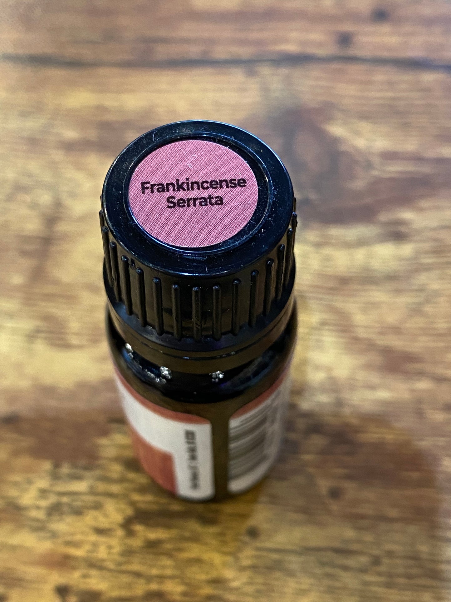 Plant Therapy Organic Frankincense Serrata Essential Oil 10 Ml